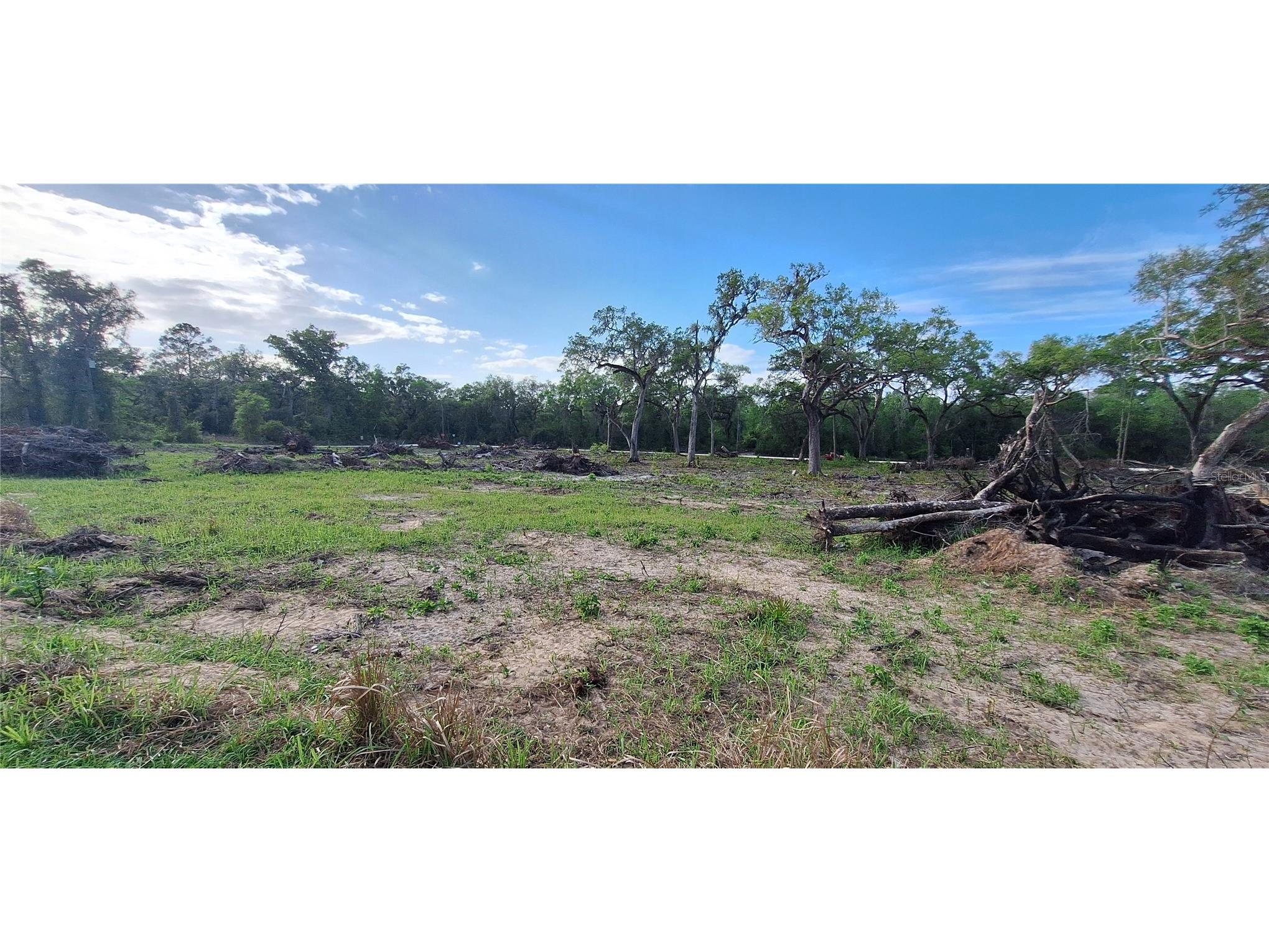 7242 Elaine Drive Webster FL 33597 TB8494121 image32