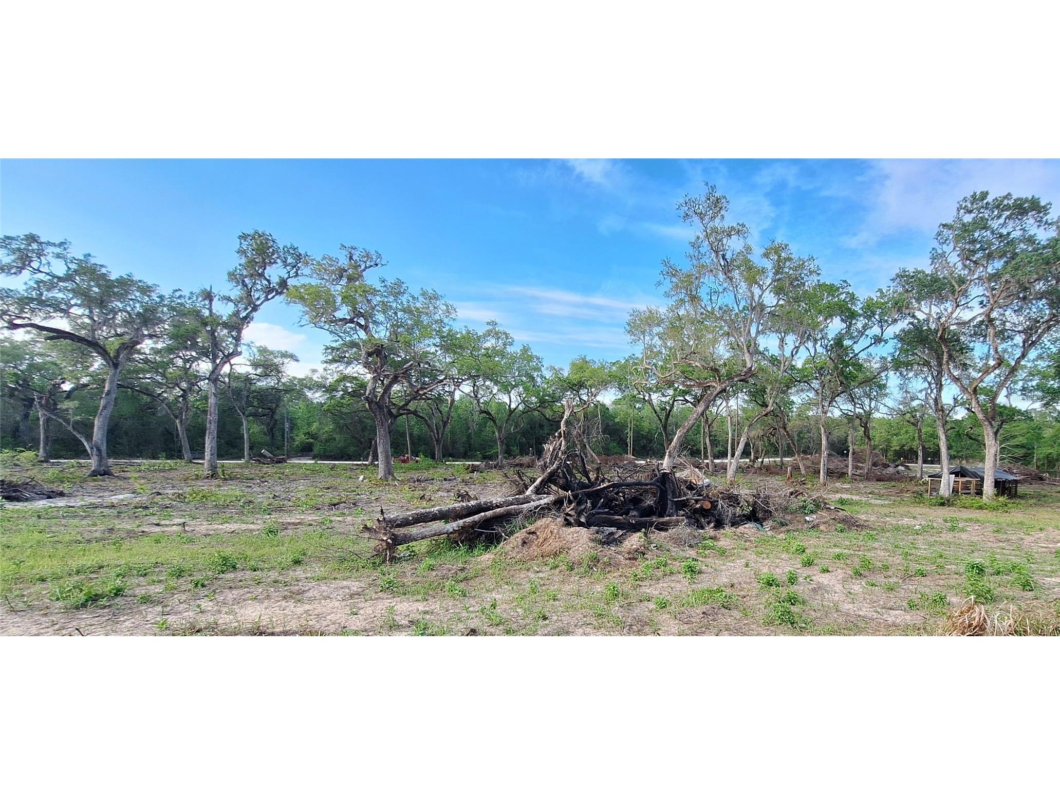 7242 Elaine Drive Webster FL 33597 TB8494121 image33