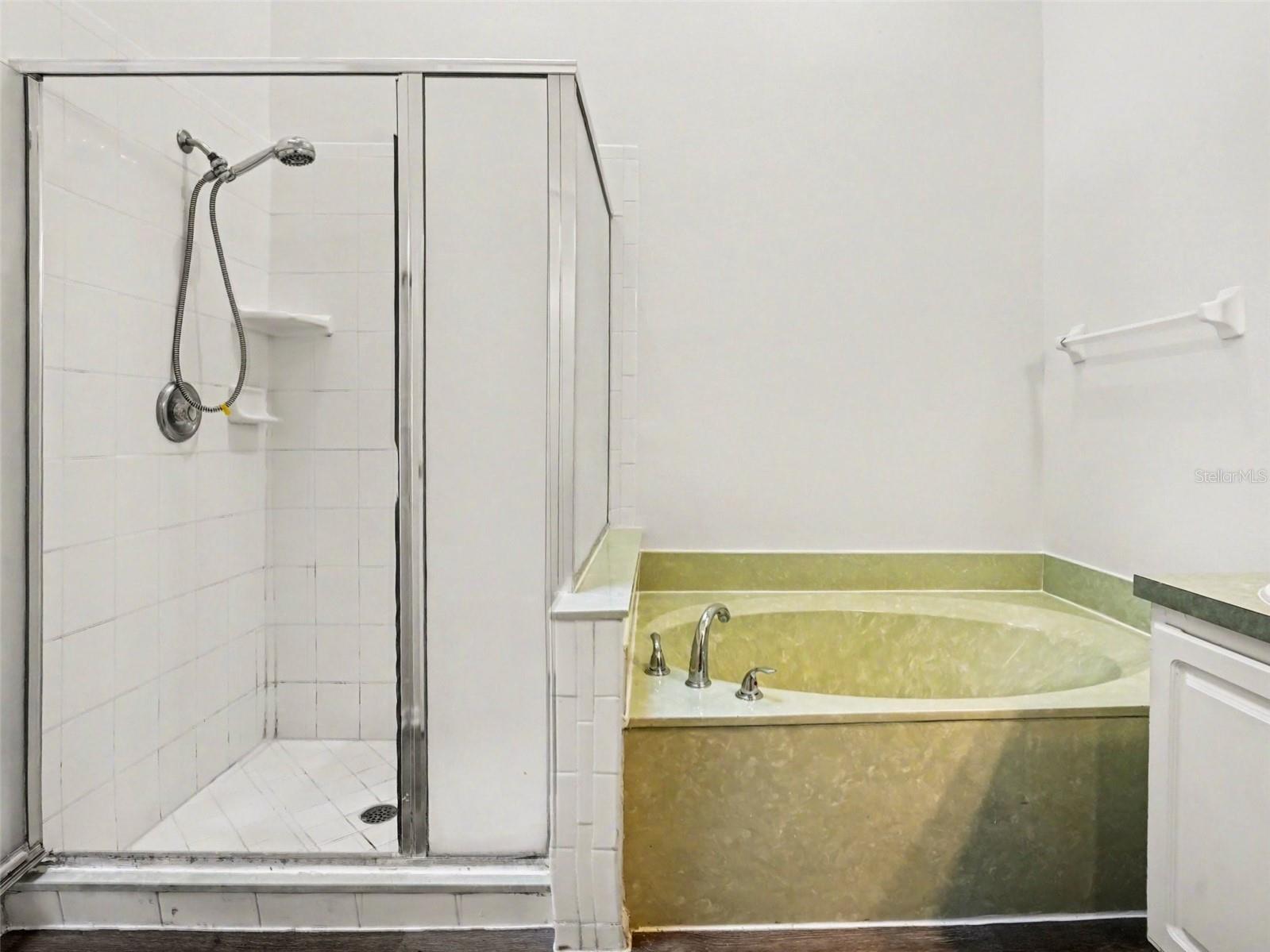 7242 Minippi Drive Orlando FL 32818 O6388324 image21