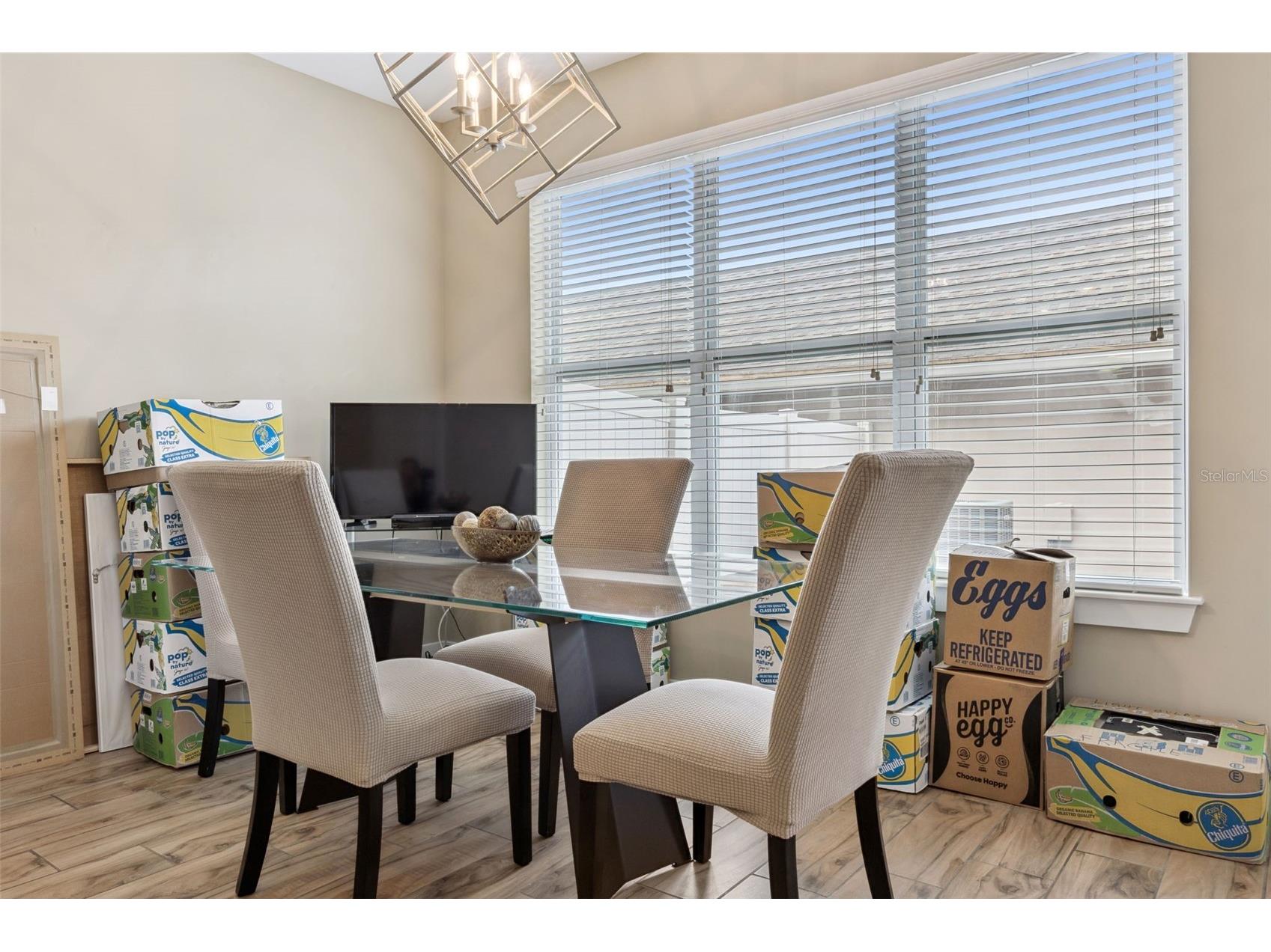 7242 Serenity Bend Windermere FL 34786 O6413545 image13