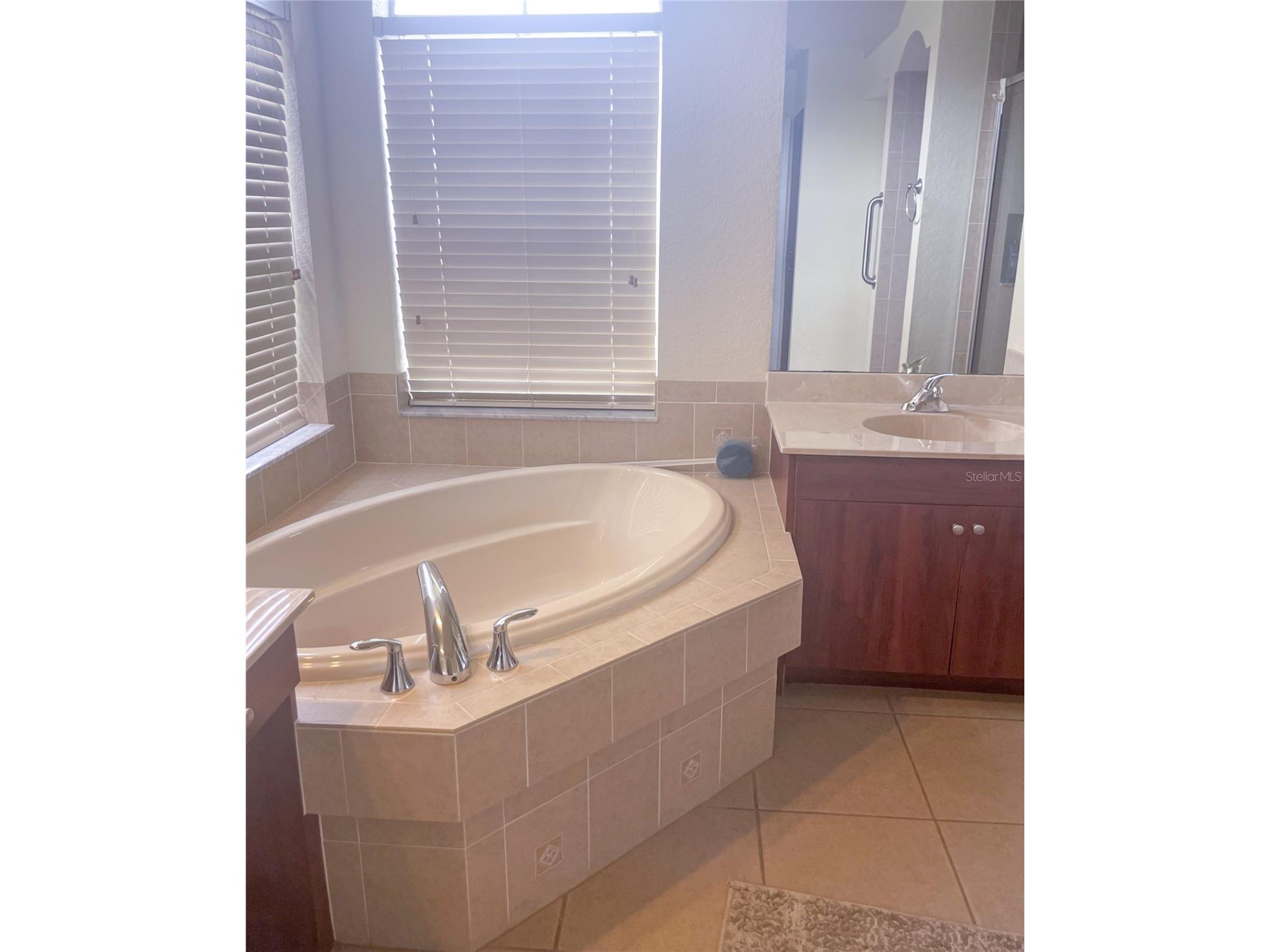 7243 Bahama Swallow Avenue Weeki Wachee FL 34613 TB8408934 image17