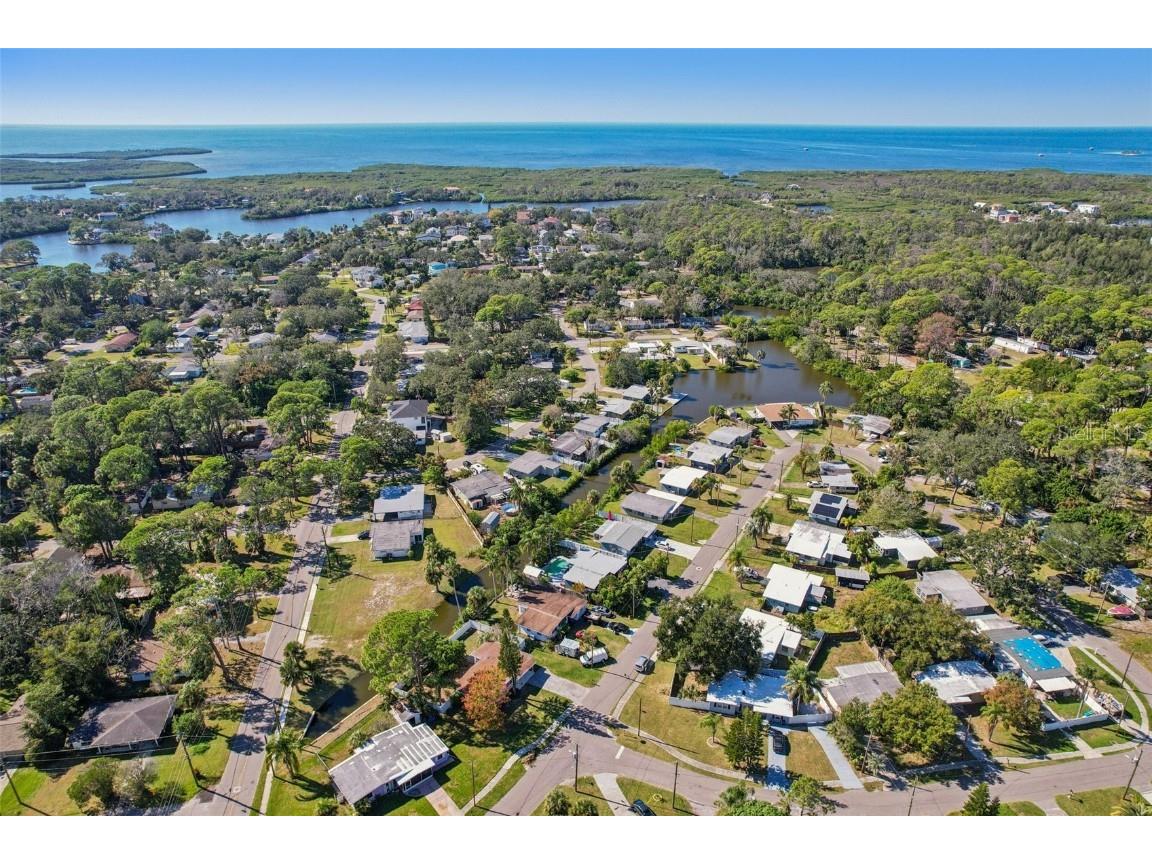 7243 Royal Palm Drive New Port Richey FL 34652 - JASMINE LAKE CANAL TB8442980 image39