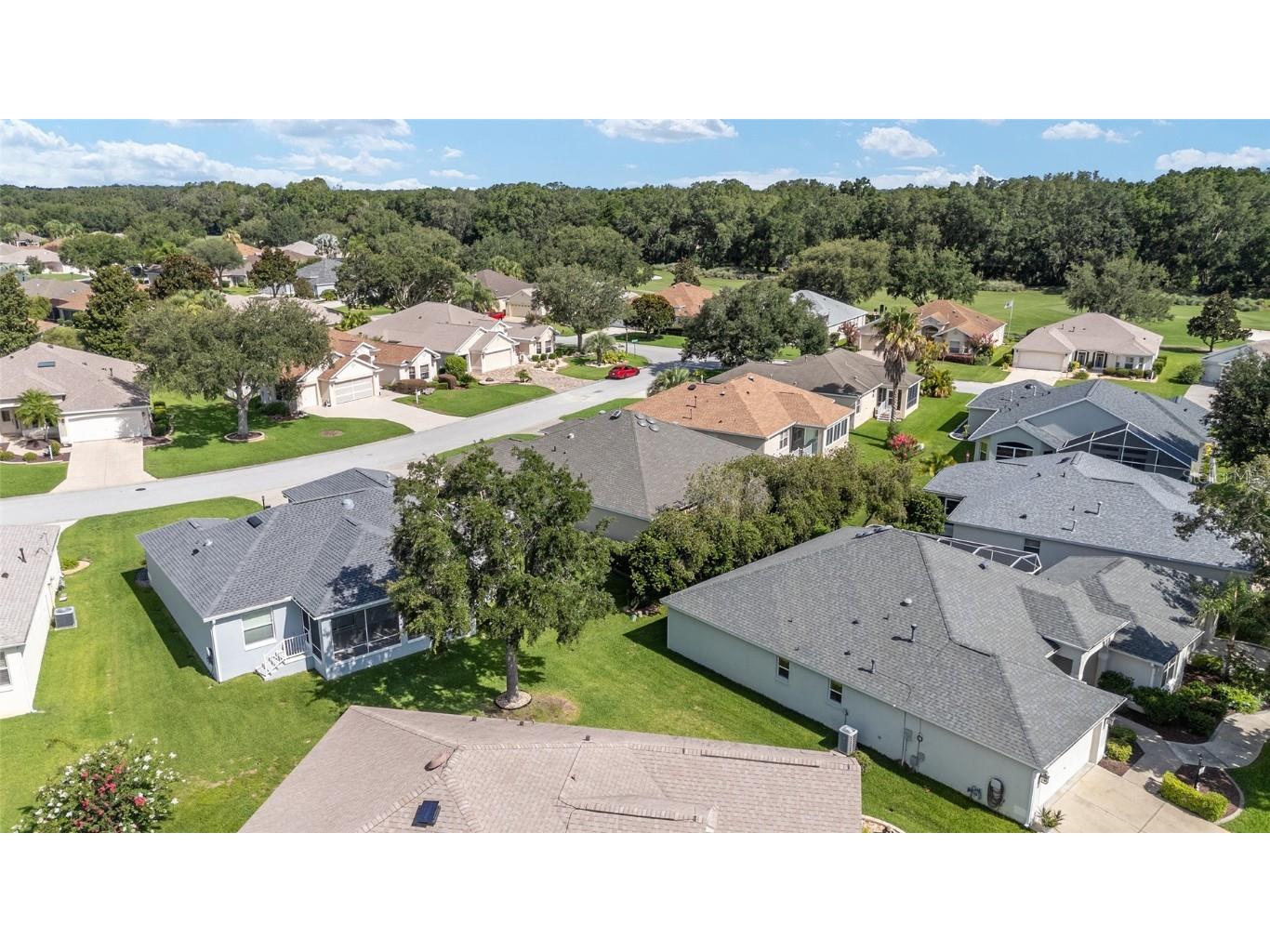 7243 SE 172nd Legacy Lane The Villages FL 32162 OM704230 image51