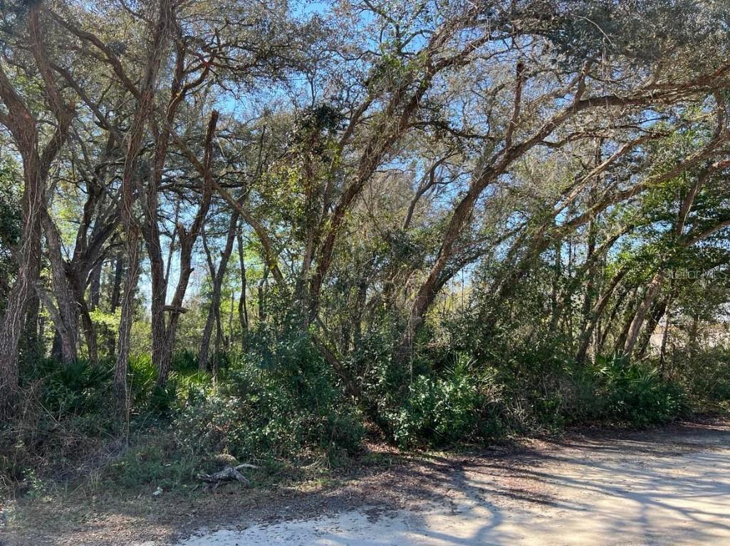 7243 Willoughby Drive Webster FL 33597 U8231628 image1