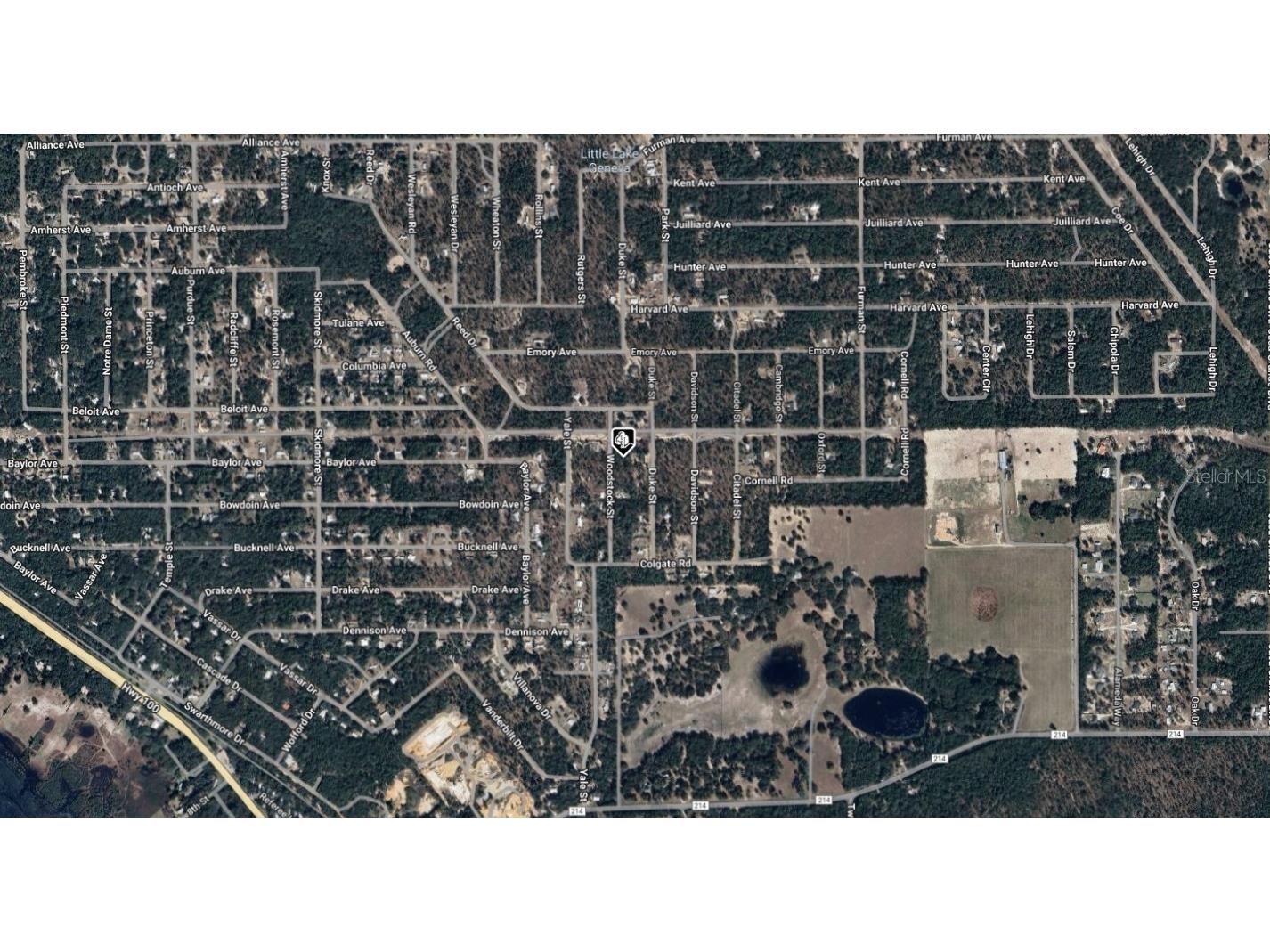 7243 Woodstock Street Keystone Heights FL 32656 A4669621 image3