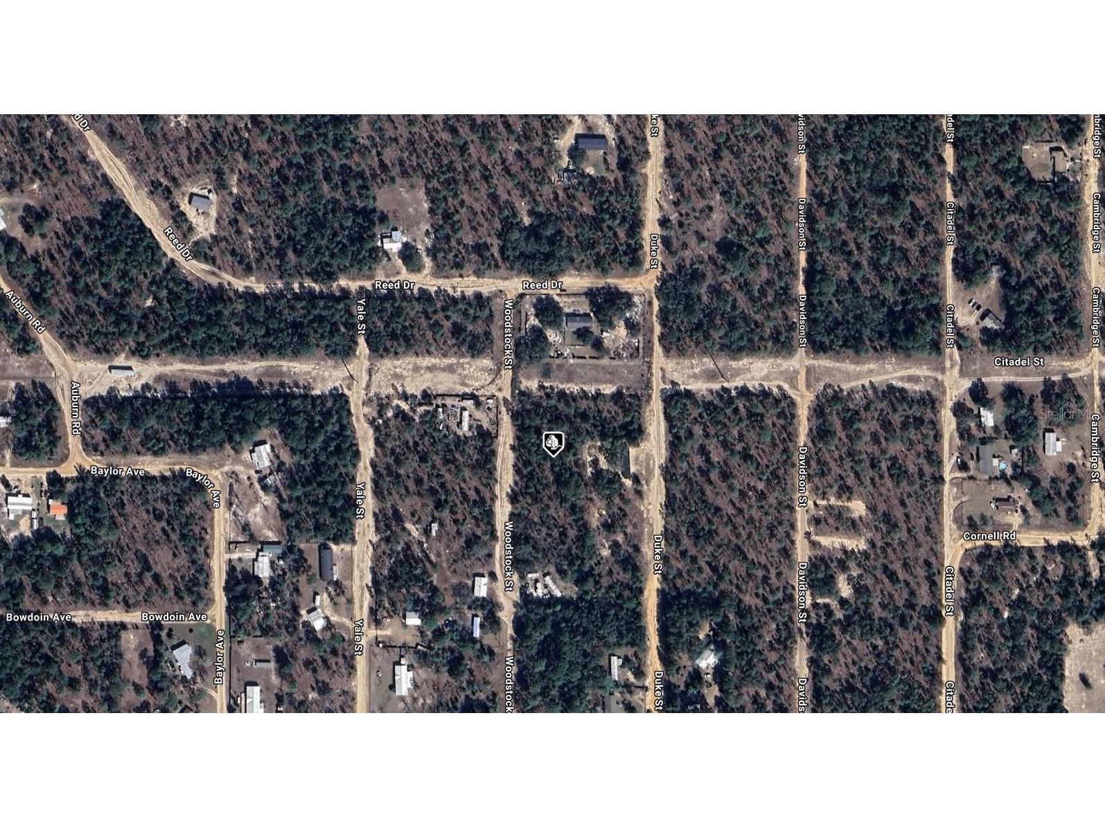 7243 Woodstock Street Keystone Heights FL 32656 A4686566 image2