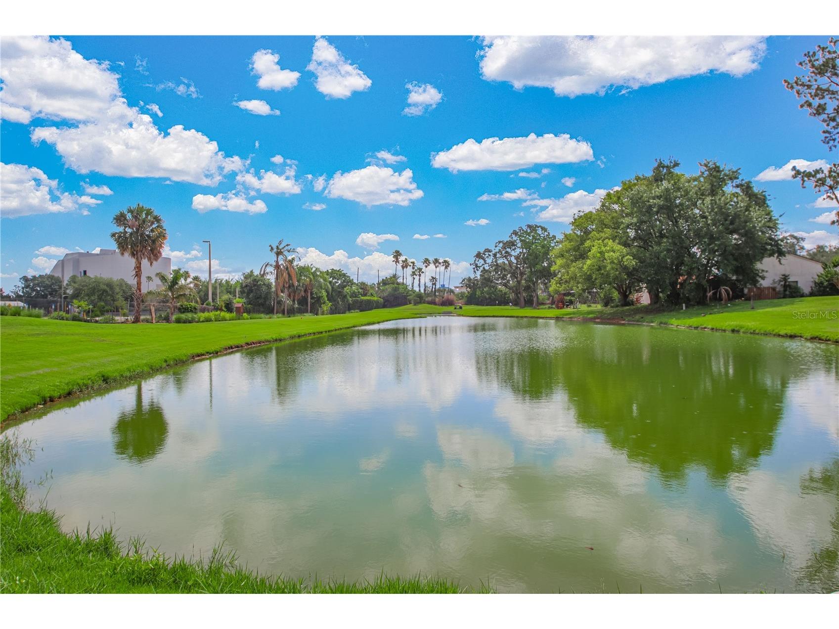 7243 Woodville Crescent Orlando FL 32819 O6413809 image37