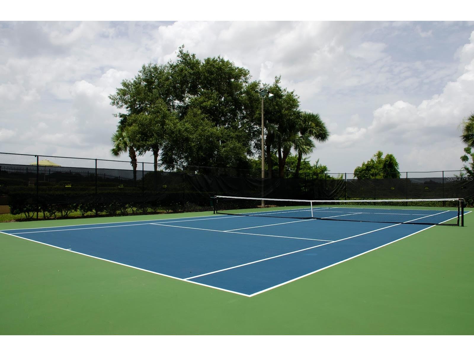 7243 Woodville Crescent Orlando FL 32819 O6413809 image46