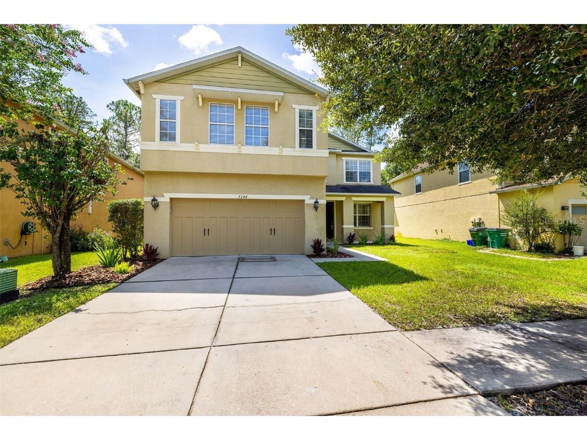 7244 Bridgeview Drive Wesley Chapel FL 33545 T3462291 image1