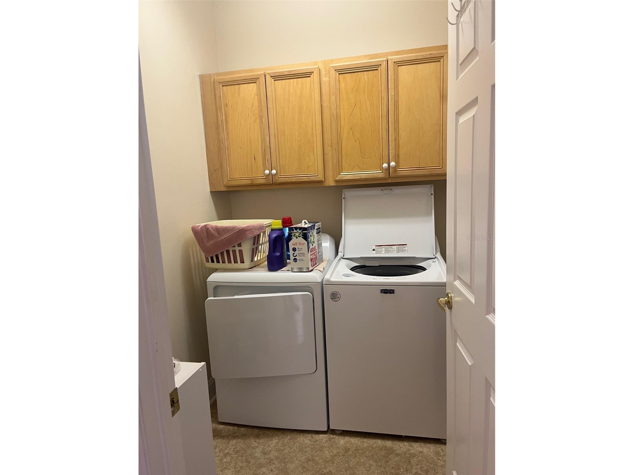 7245 Cleopatra Drive Land O Lakes FL 34637 W7885847 image16