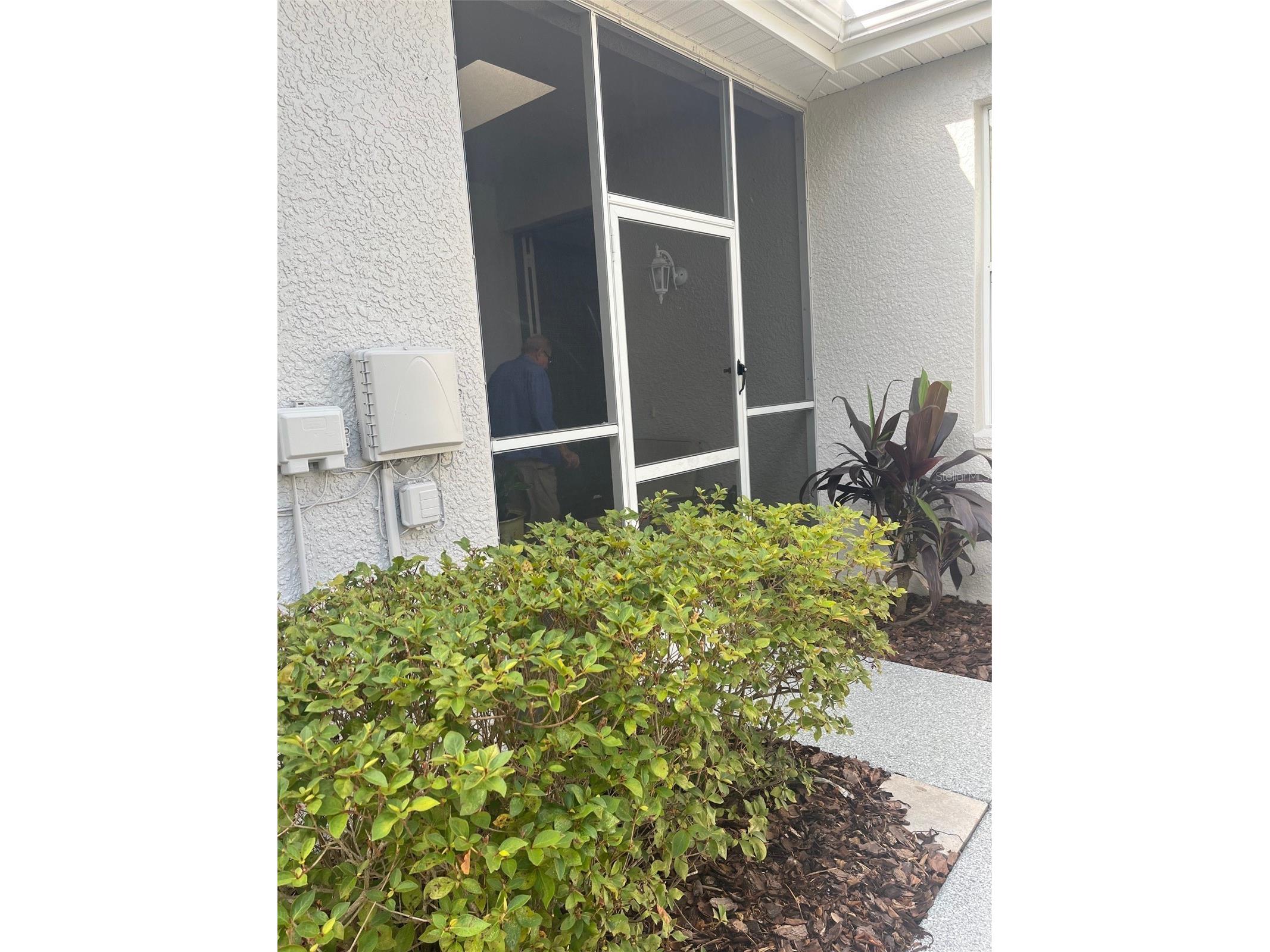 7245 Cleopatra Drive Land O Lakes FL 34637 W7885847 image2
