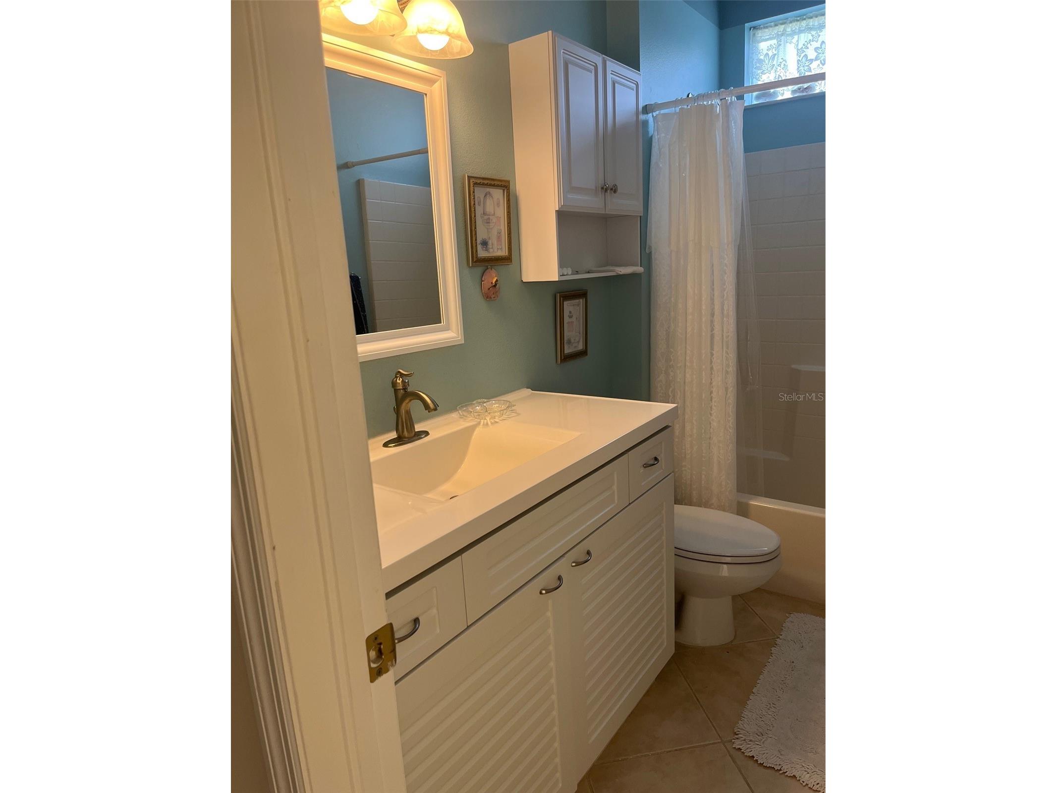 7245 Cleopatra Drive Land O Lakes FL 34637 W7885847 image20