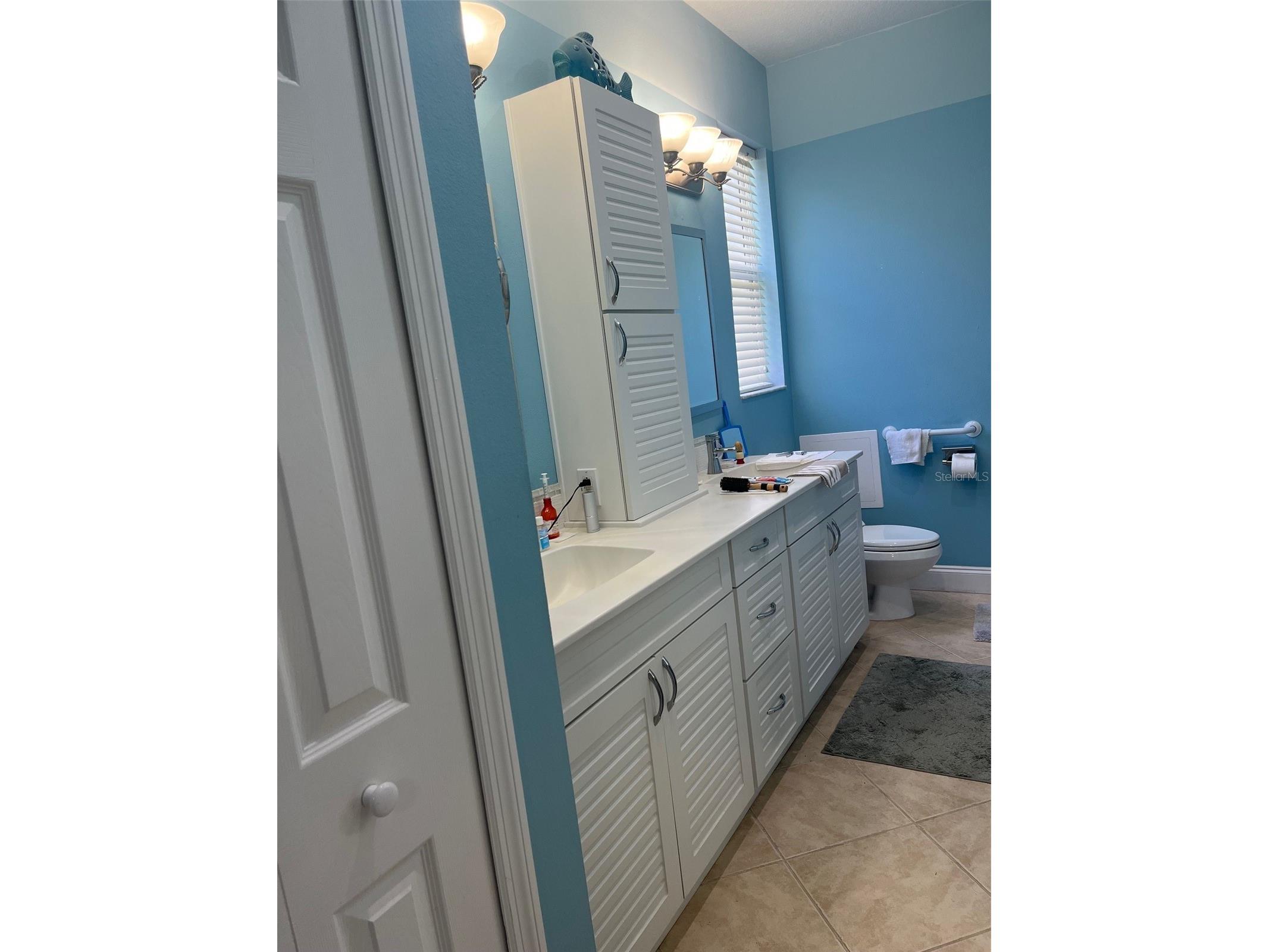 7245 Cleopatra Drive Land O Lakes FL 34637 W7885847 image21