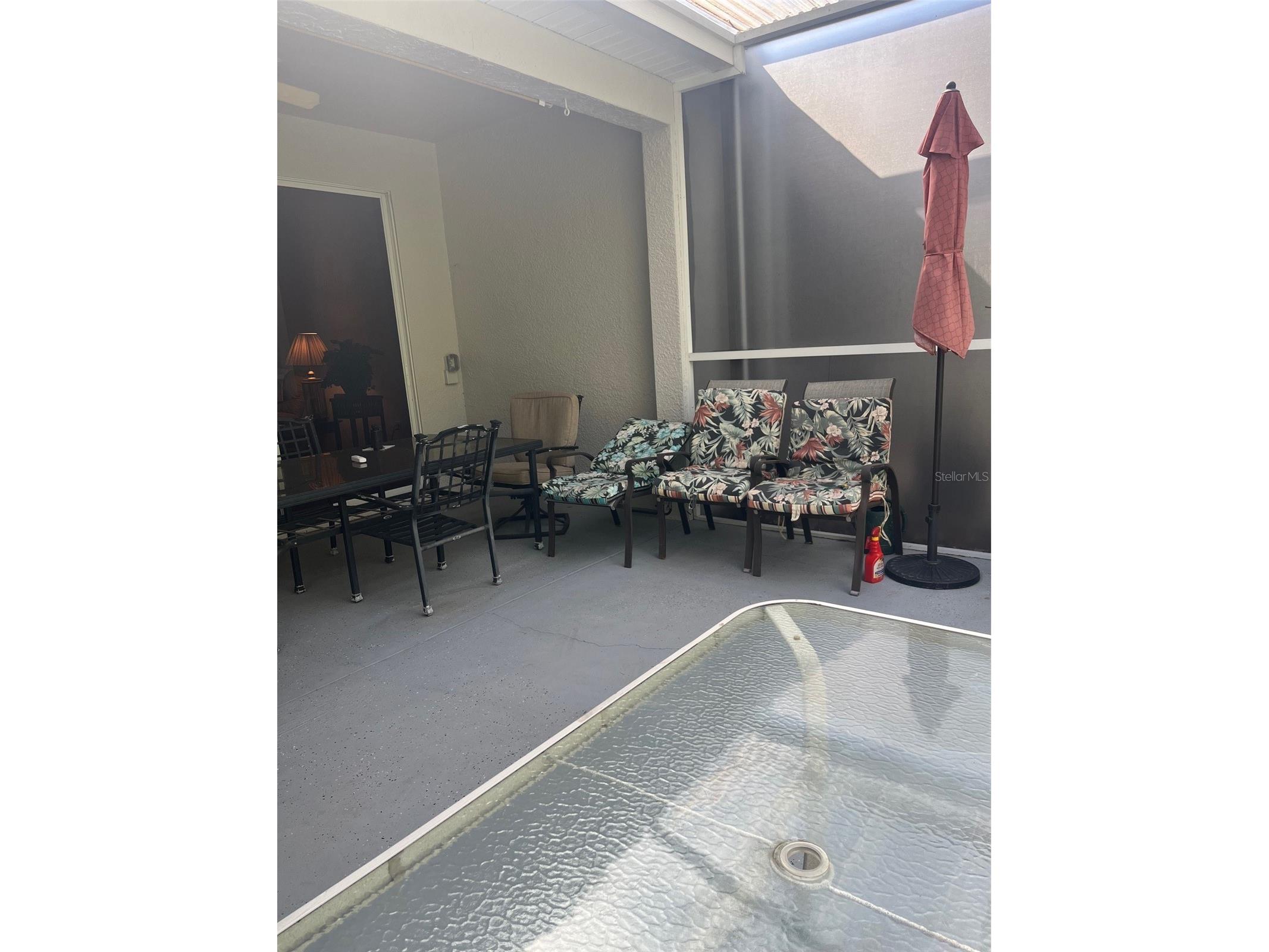 7245 Cleopatra Drive Land O Lakes FL 34637 W7885847 image22