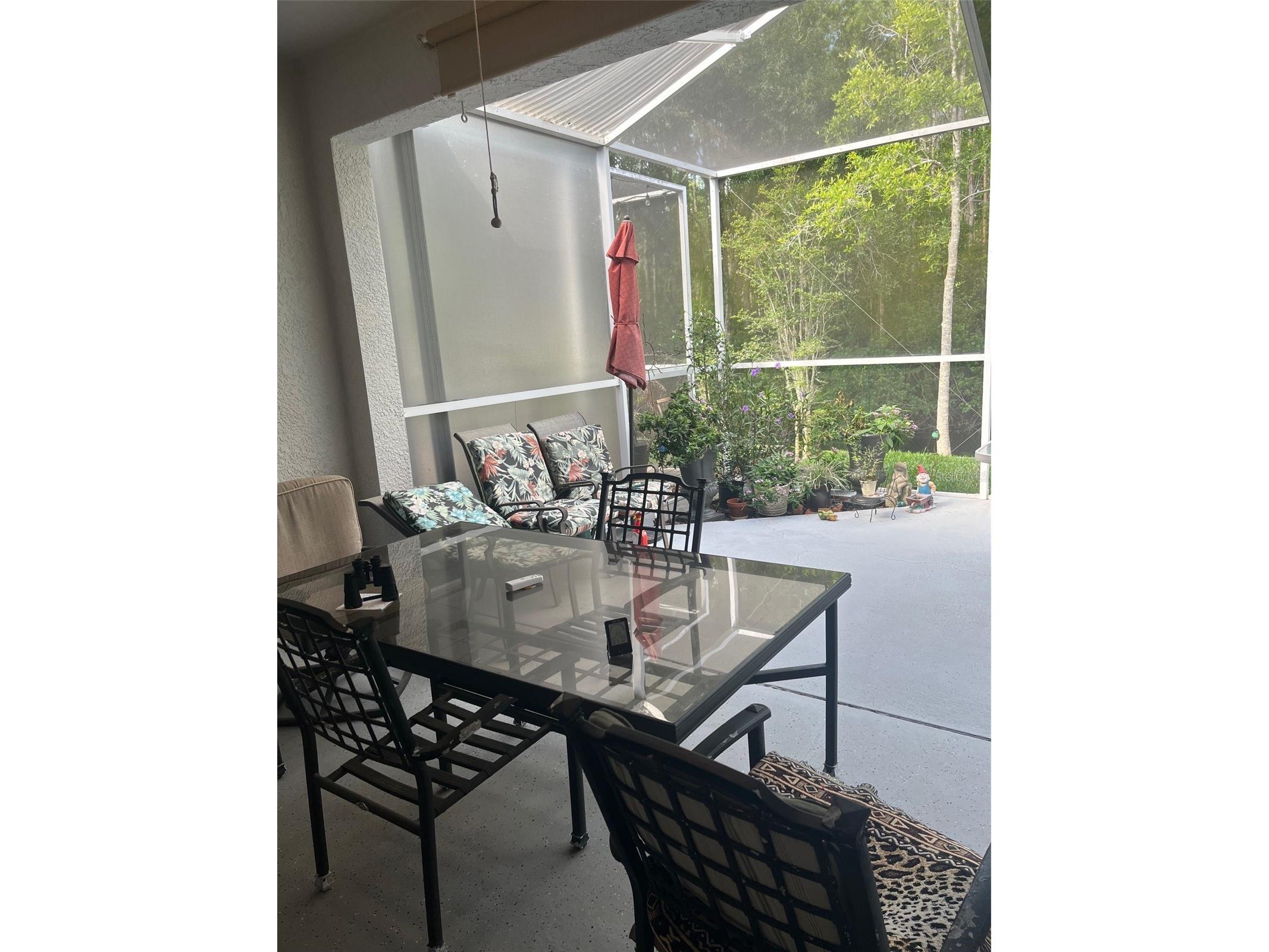 7245 Cleopatra Drive Land O Lakes FL 34637 W7885847 image23
