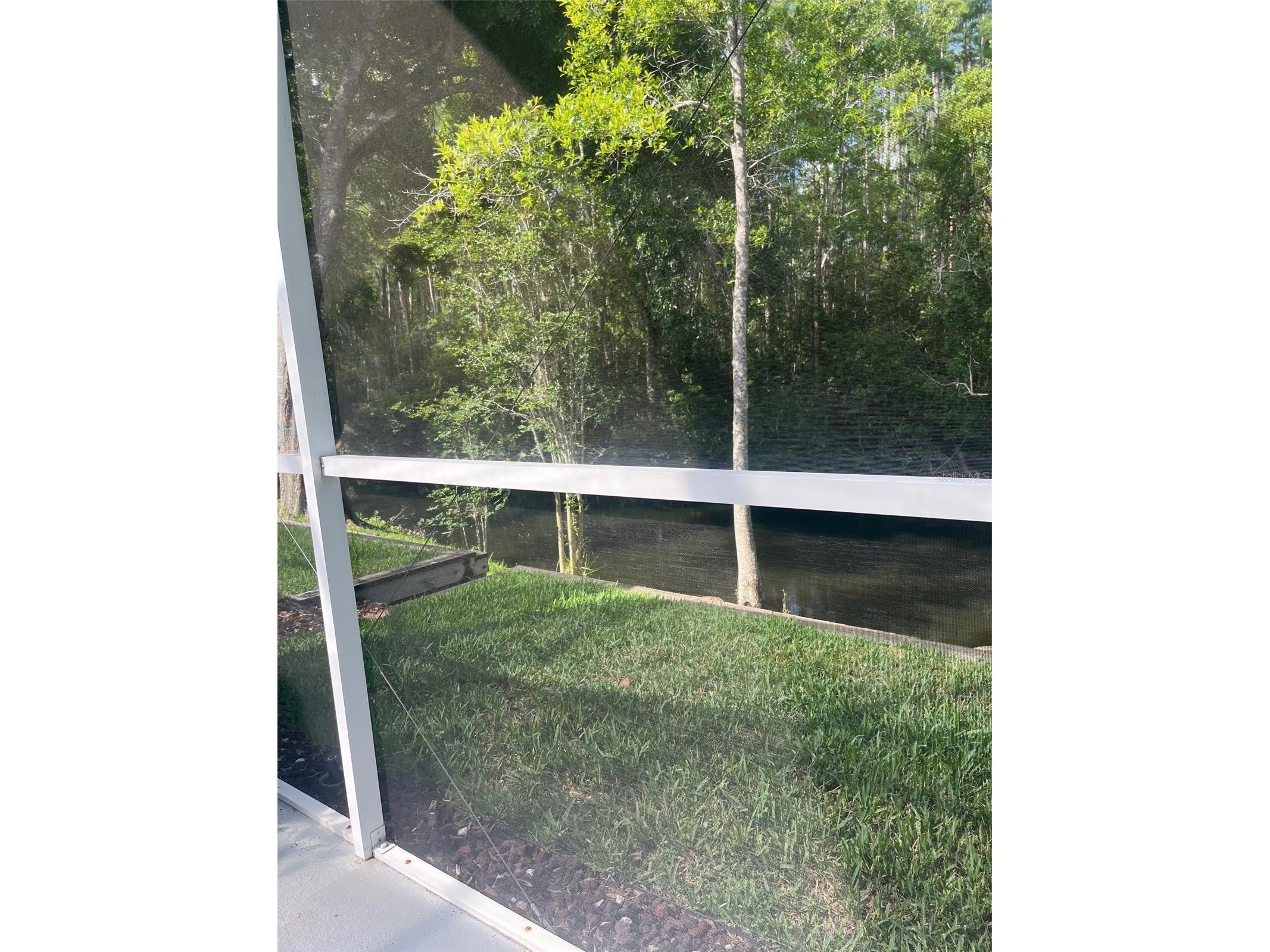 7245 Cleopatra Drive Land O Lakes FL 34637 W7885847 image24