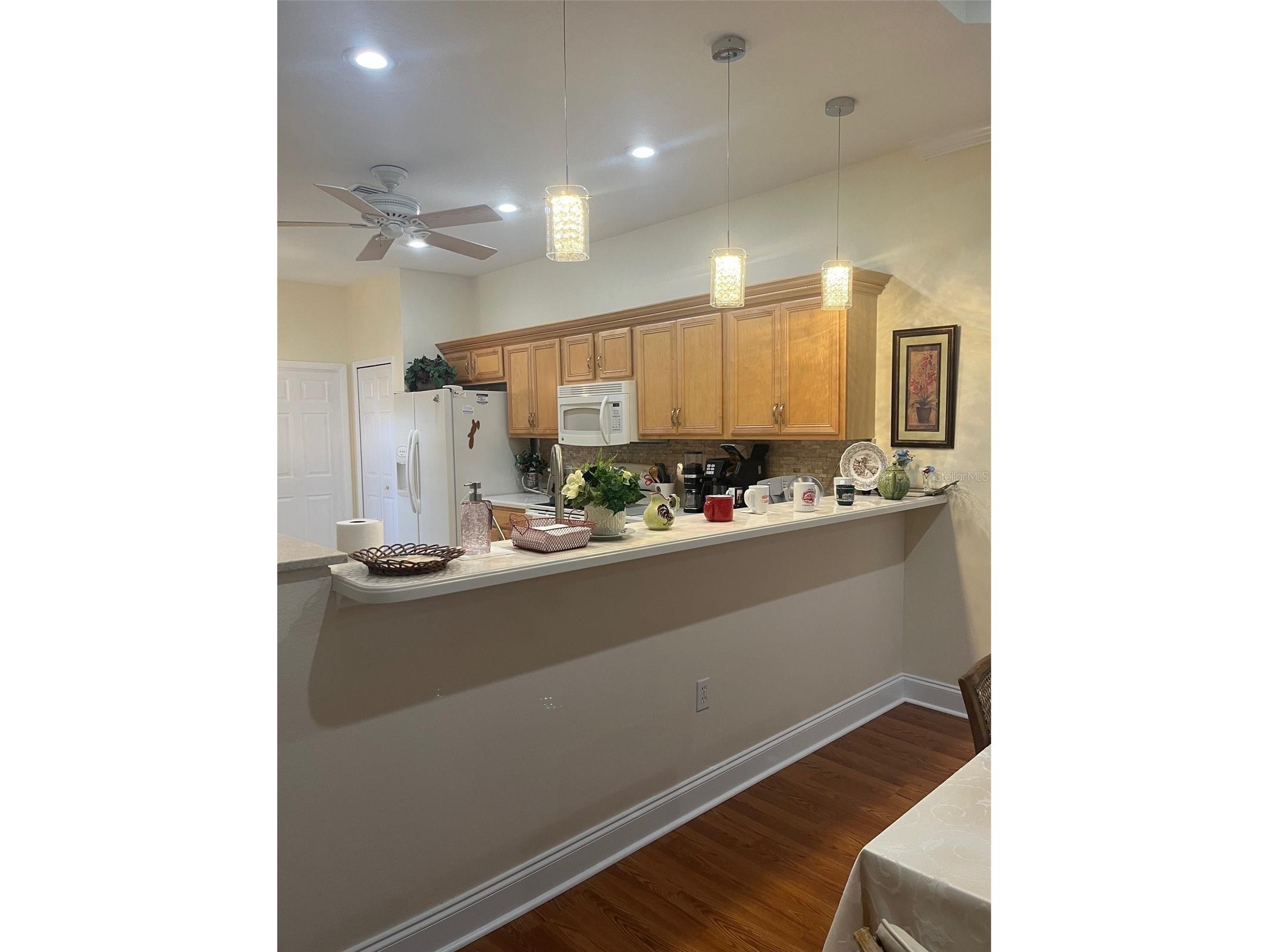 7245 Cleopatra Drive Land O Lakes FL 34637 W7885847 image5