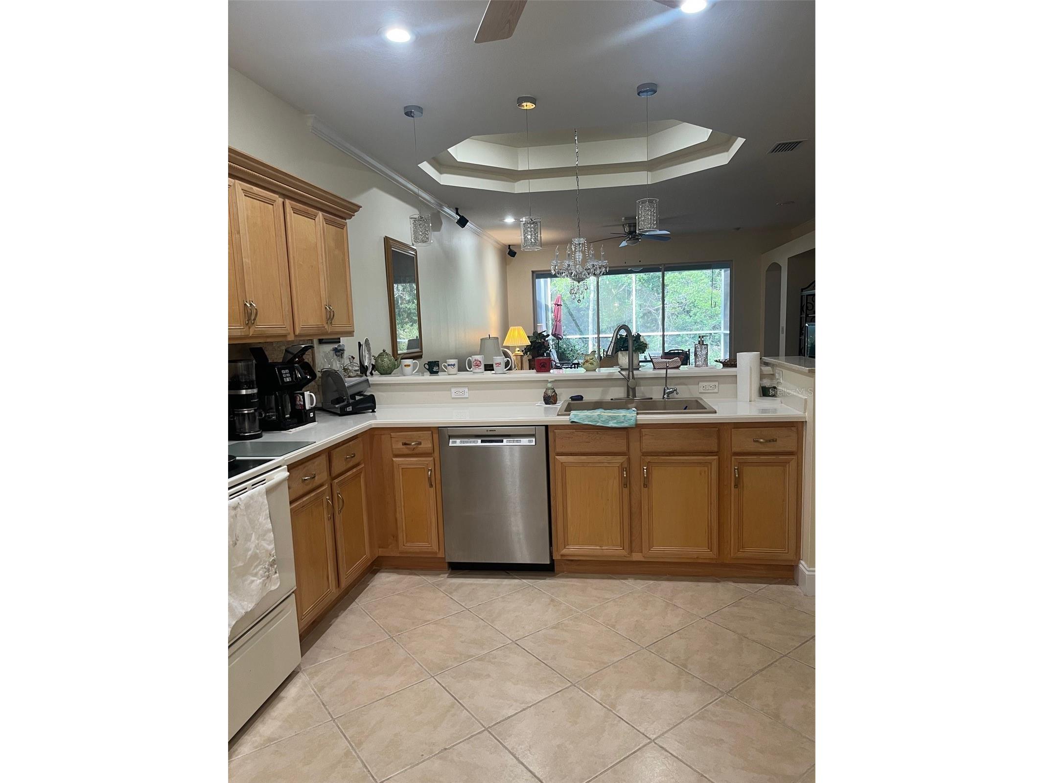 7245 Cleopatra Drive Land O Lakes FL 34637 W7885847 image7