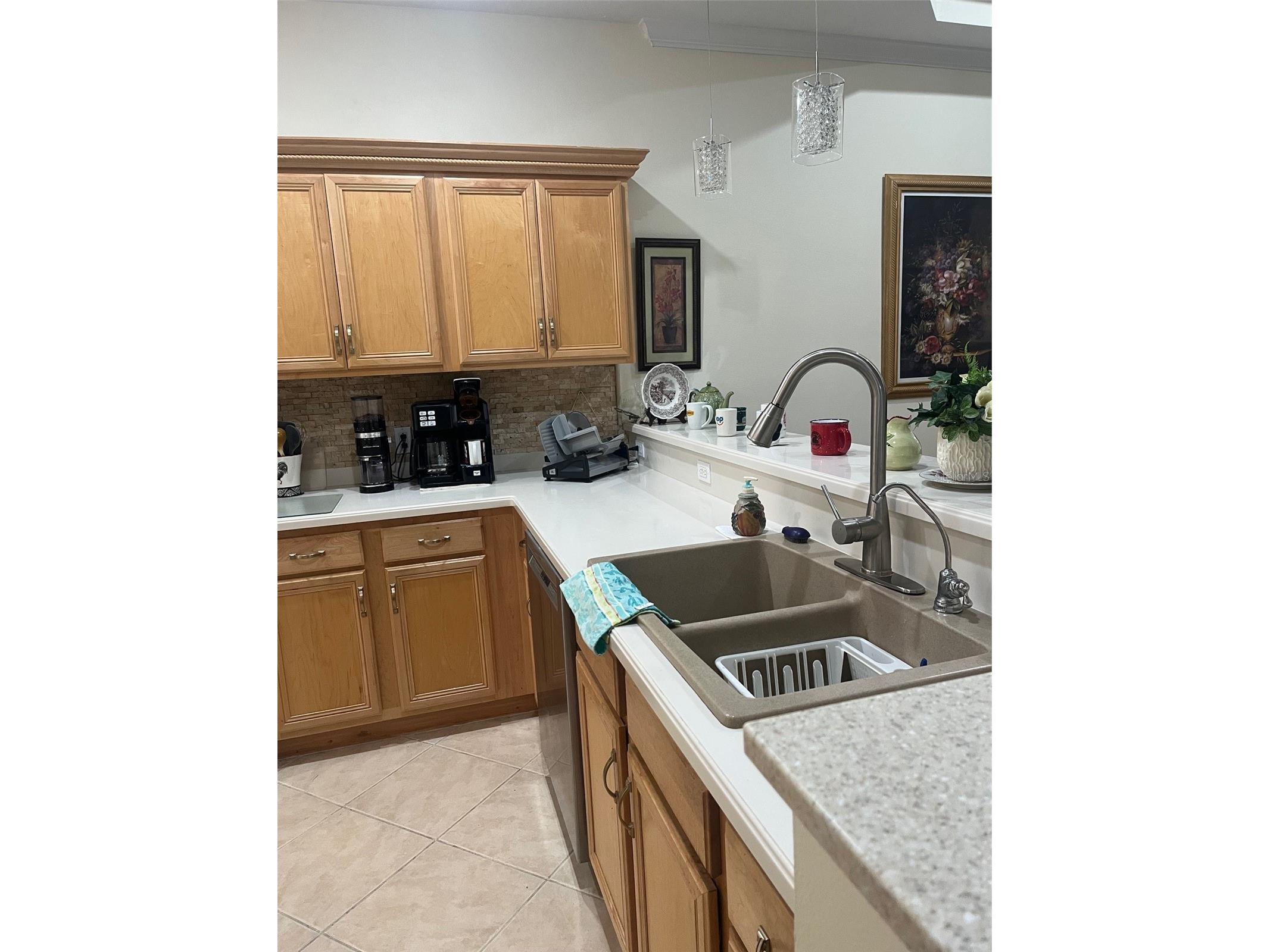 7245 Cleopatra Drive Land O Lakes FL 34637 W7885847 image8