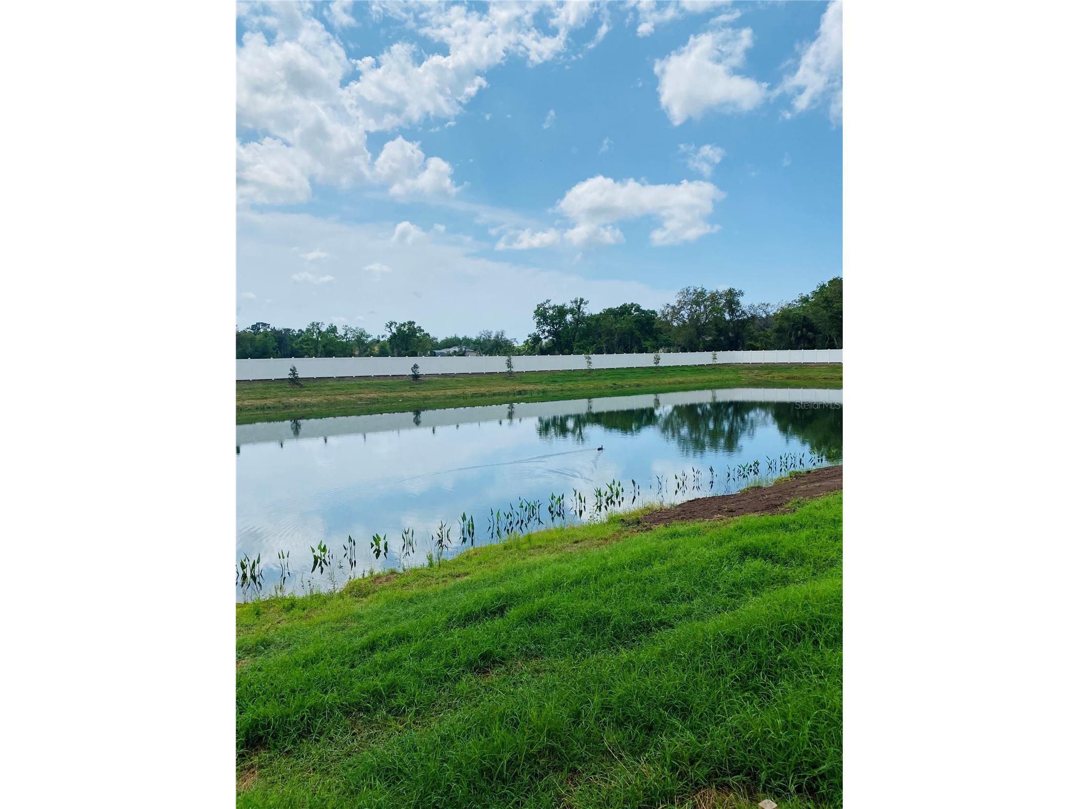7245 Meadowshade Court Sarasota FL 34241 TB8478629 image27