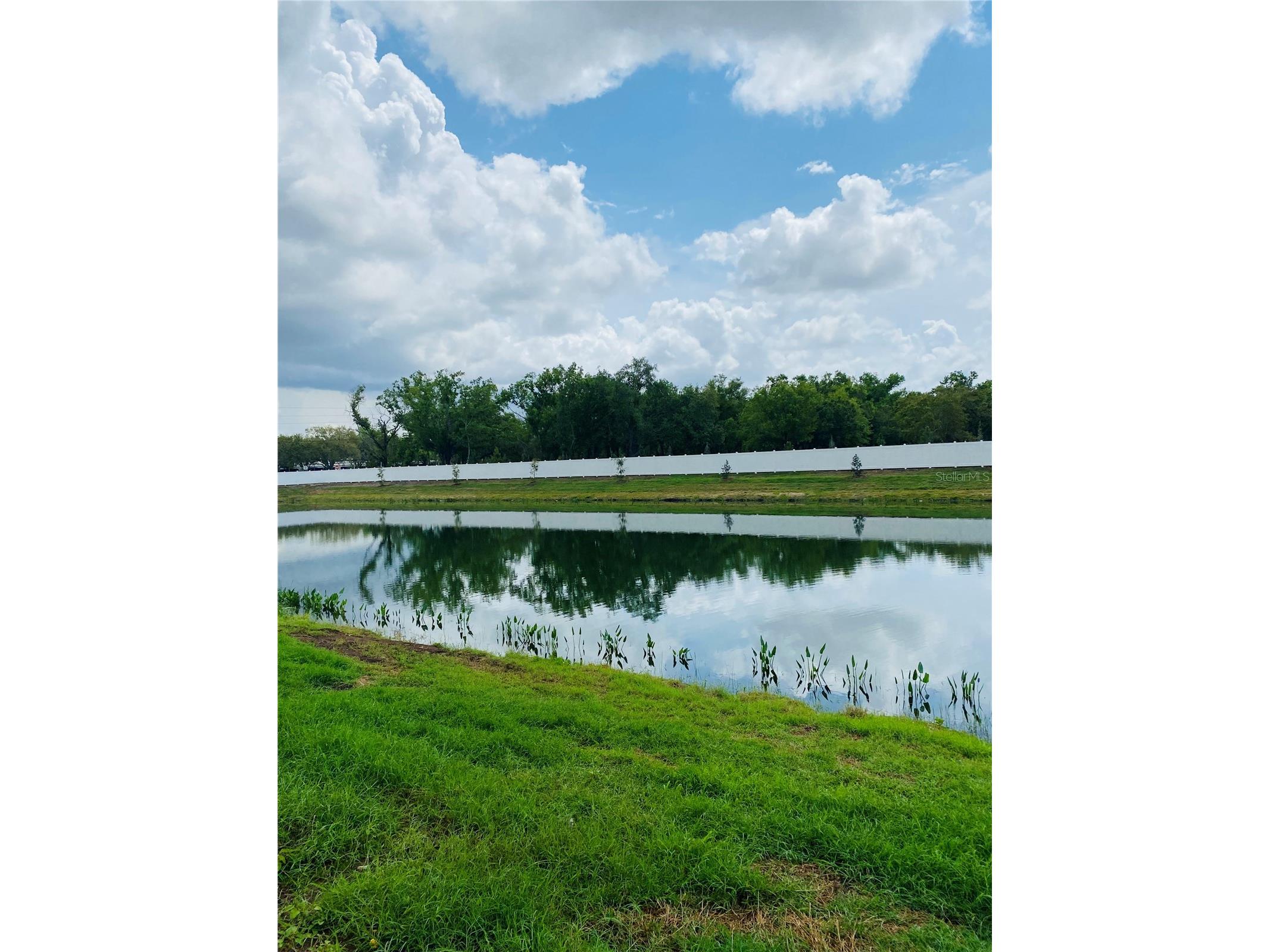 7245 Meadowshade Court Sarasota FL 34241 TB8478629 image28
