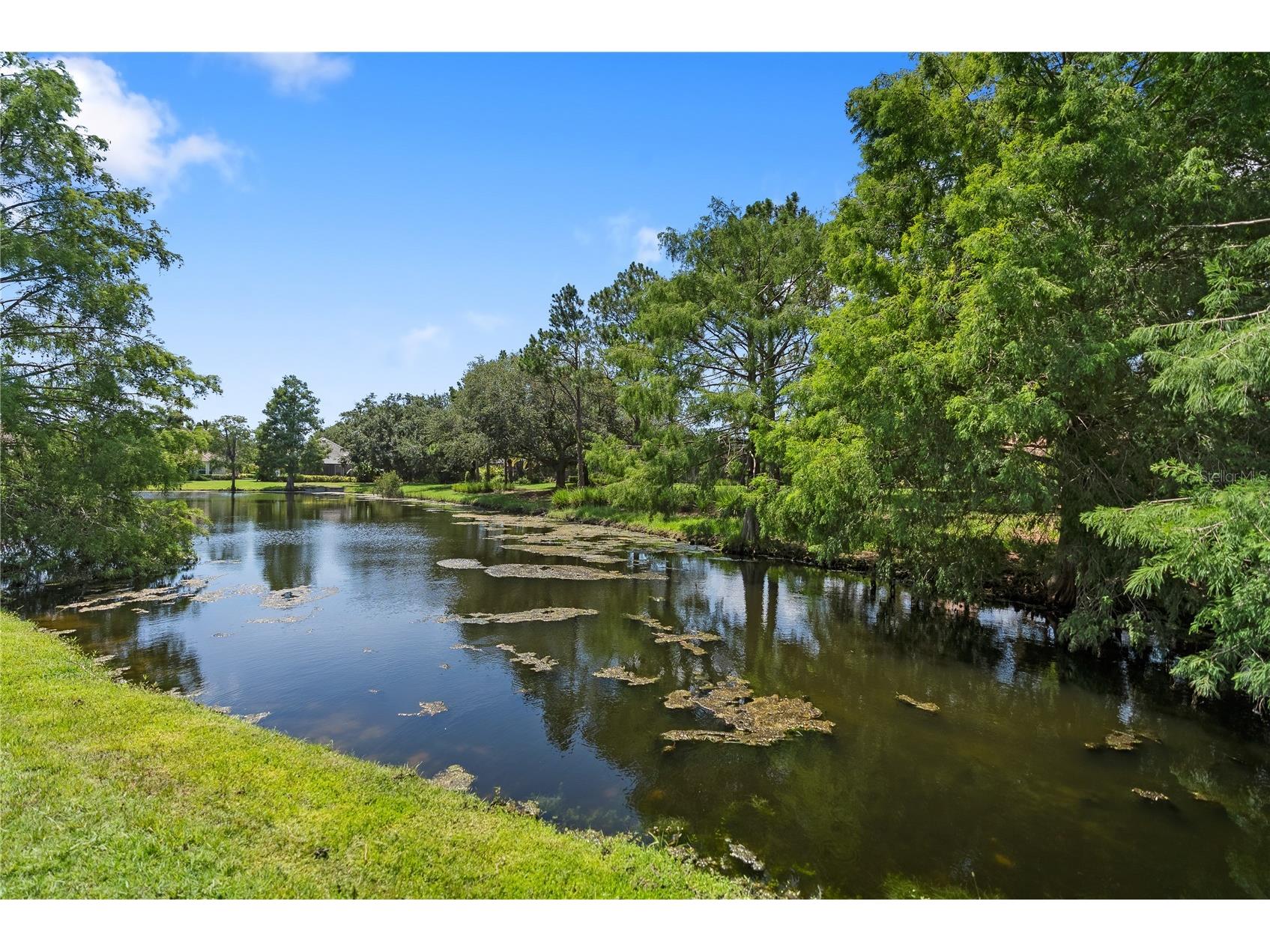 7245 Orchid Island Place Lakewood Ranch FL 34202 A4698300 image50