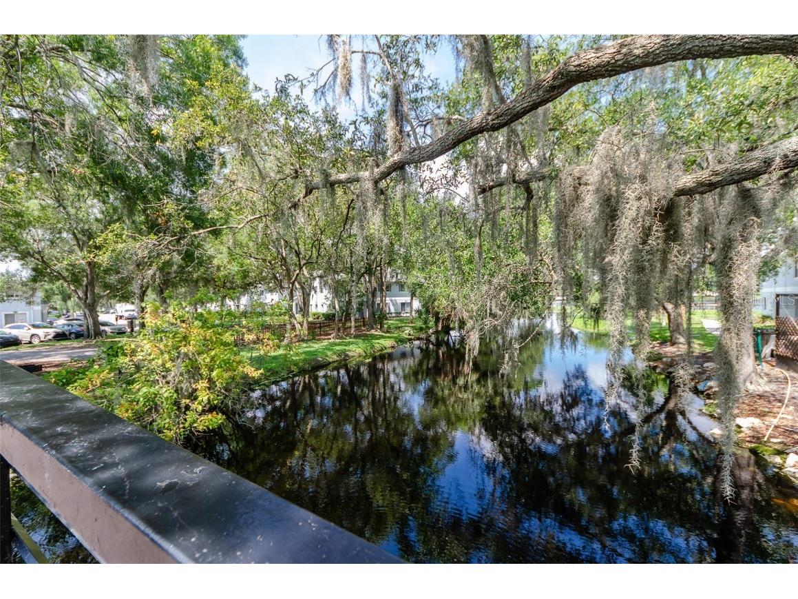 7246 E Bank Drive #106, Tampa, FL, 33617 | MLS: TB8441646 | Edina Realty