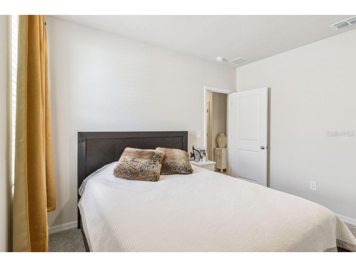 7247 Boggy Creek Place Parrish FL 34219 O6361299 image19