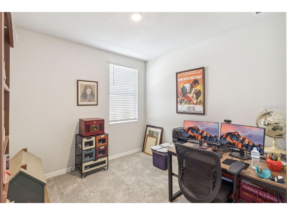 7247 Boggy Creek Place Parrish FL 34219 O6361299 image25