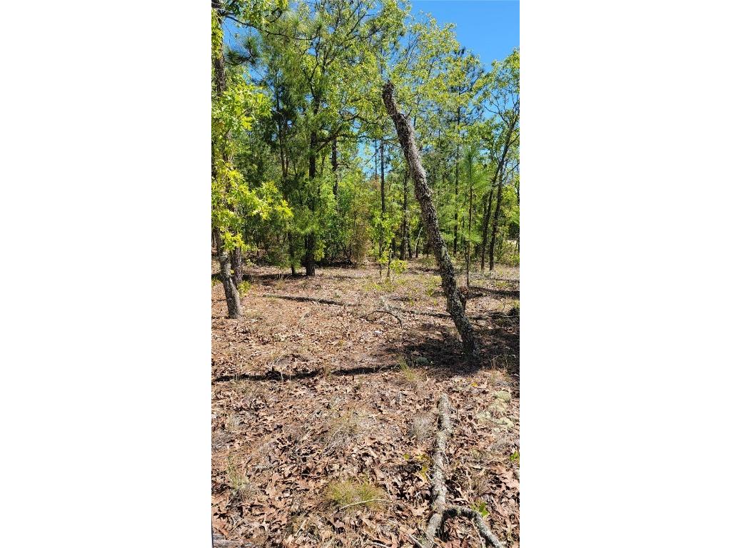 7247 Cambridge Street Keystone Heights FL 32656 GC512100 image1