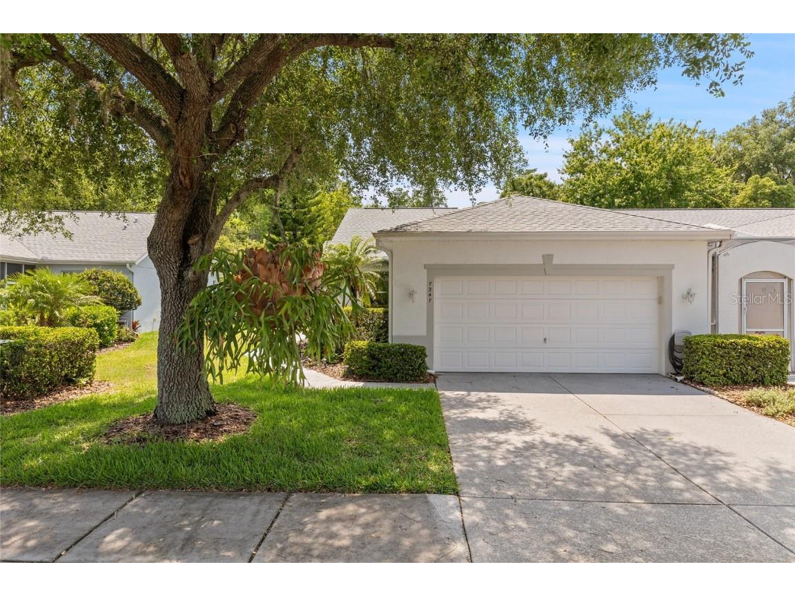 7247 Cleopatra Drive Land O Lakes FL 34637 T3525775 image1