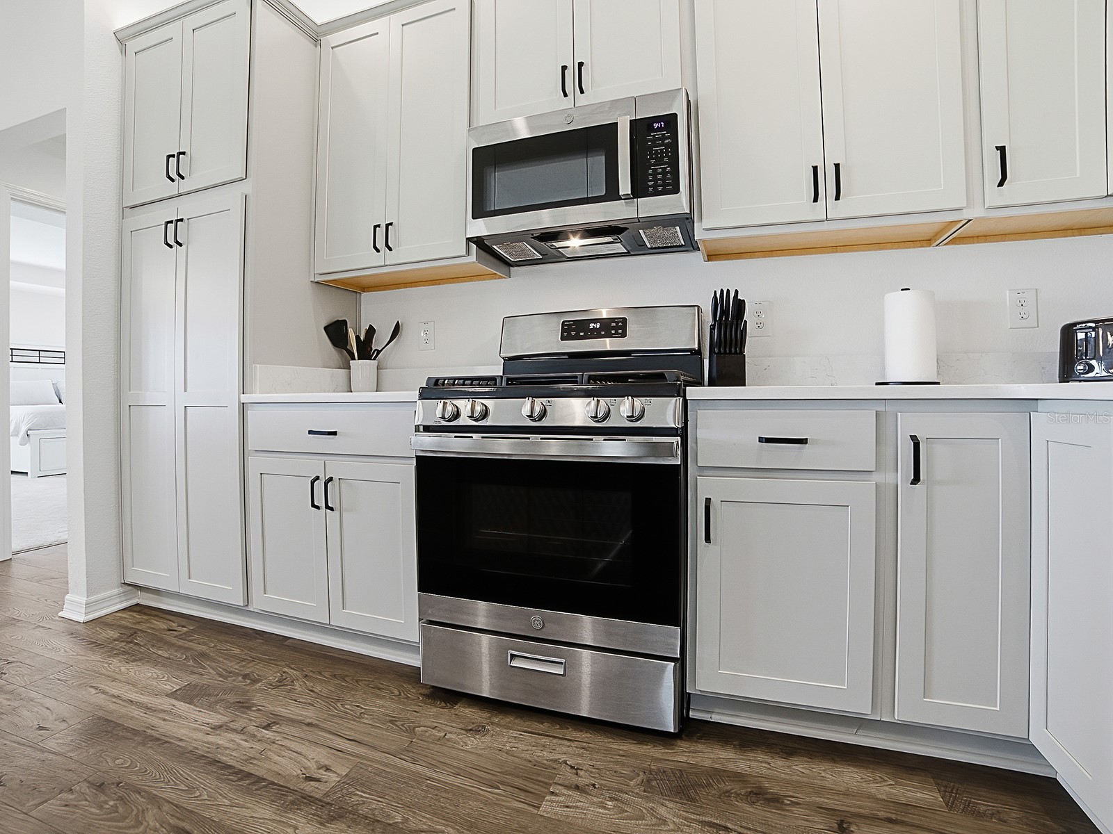 7247 Remi Place The Villages FL 34762 G5112899 image8