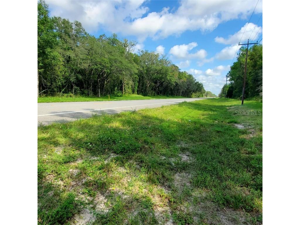 7247 Treiman Boulevard Webster FL 33597 W7858119 image1