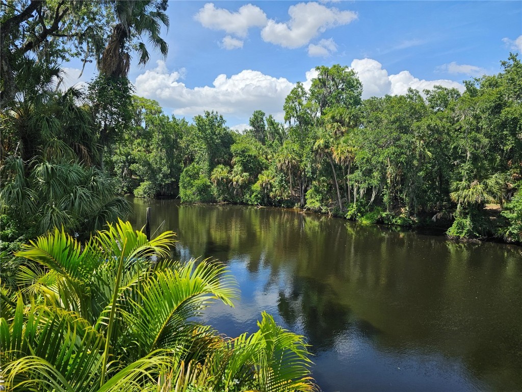 7248 Alafia Ridge Loop Riverview FL 33569 - ALAFIA RIVER T3535044 image1