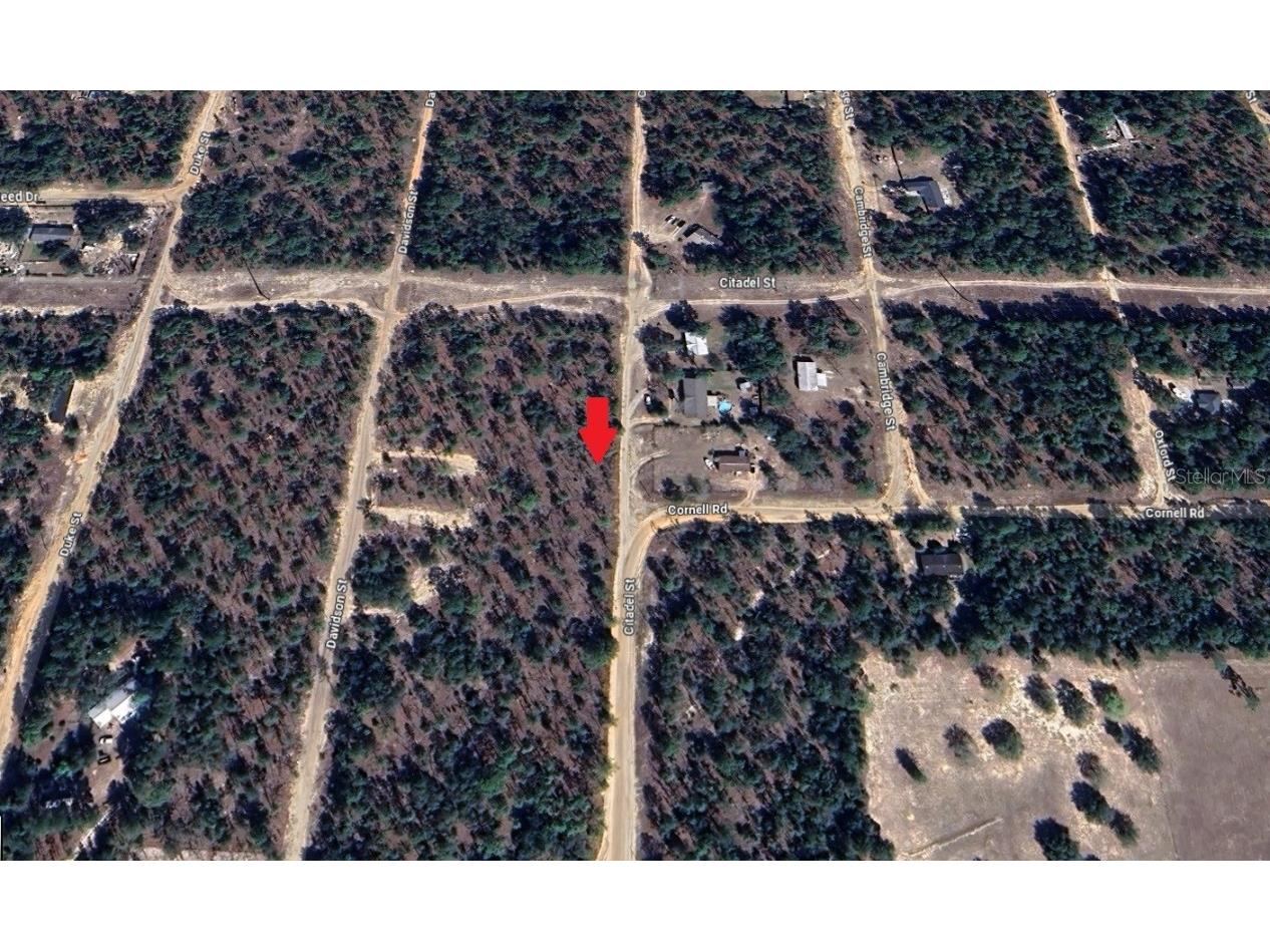 7248 Citadel Street Keystone Heights FL 32656 GC534438 image1