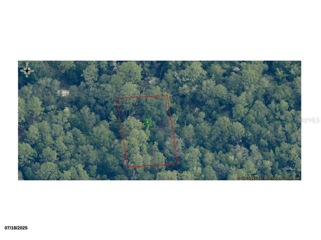 7248 W Citruswood Drive Dunnellon FL 34433 W7882750 image1