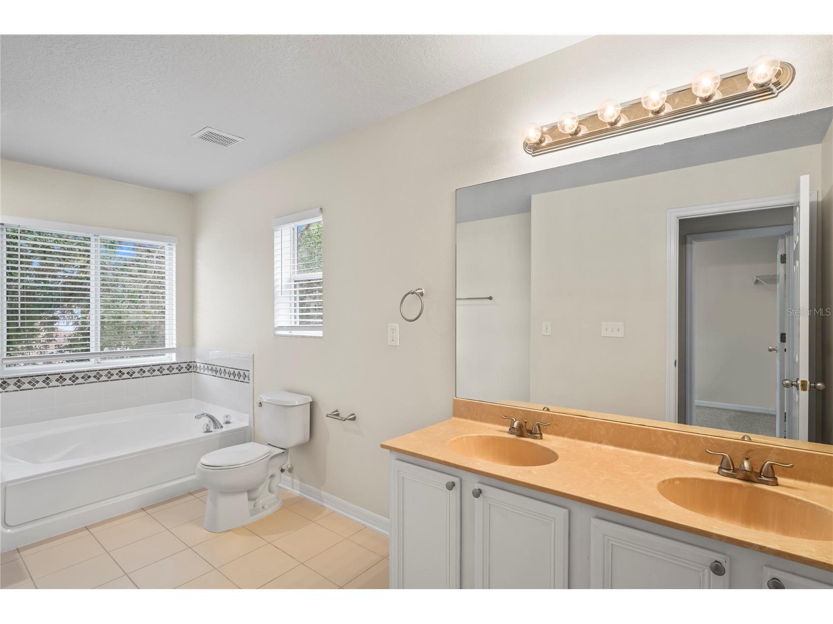 7249 Bridgeview Drive Wesley Chapel FL 33545 TB8388253 image14