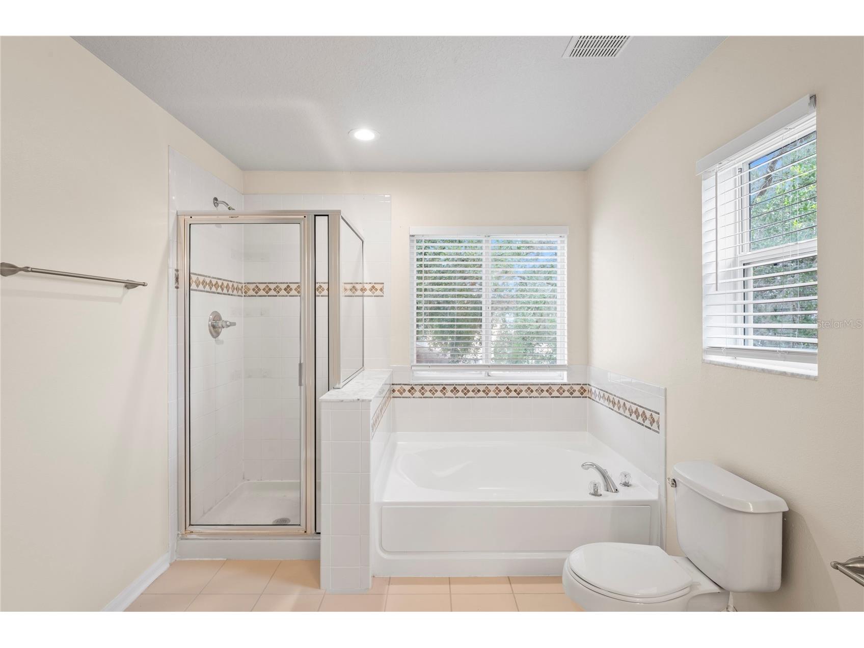 7249 Bridgeview Drive Wesley Chapel FL 33545 TB8388253 image15