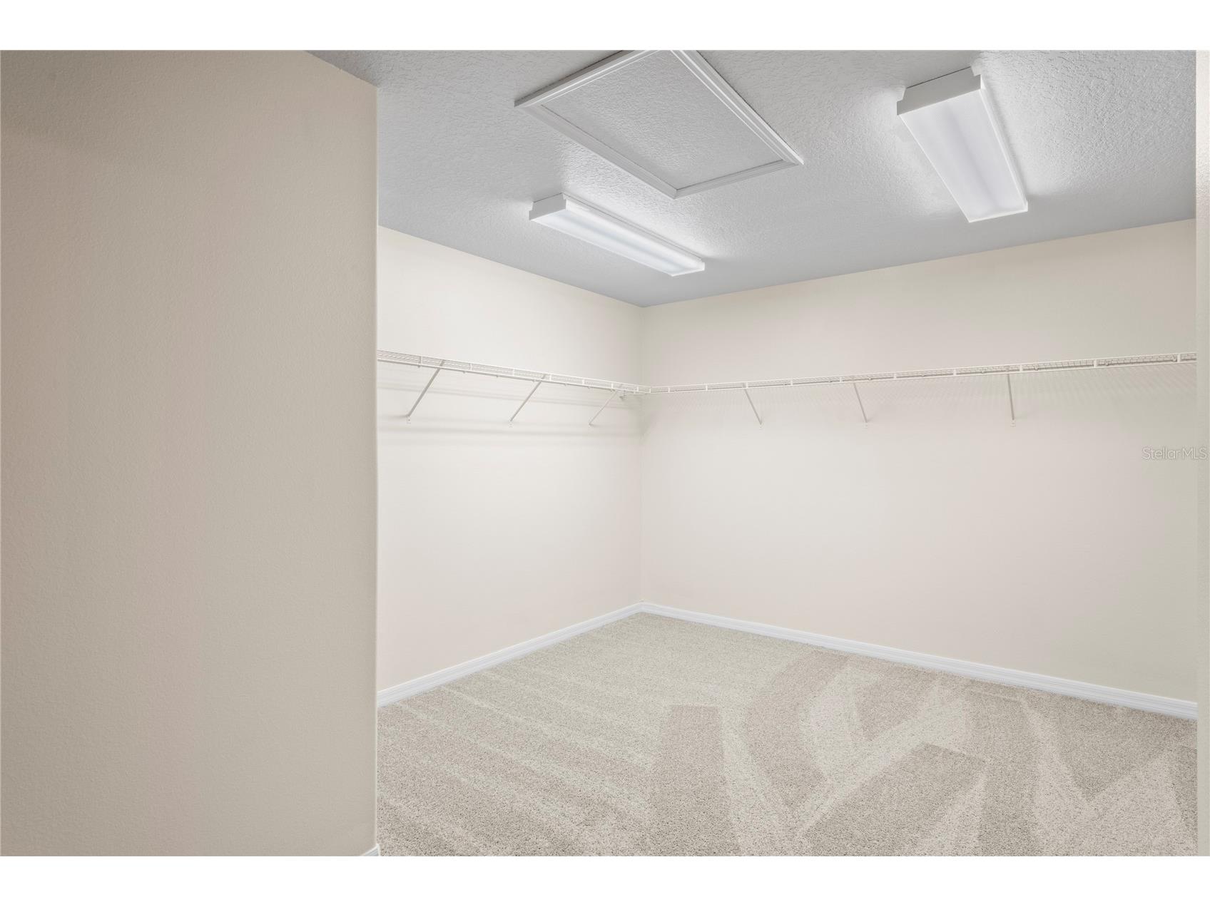 7249 Bridgeview Drive Wesley Chapel FL 33545 TB8388253 image16