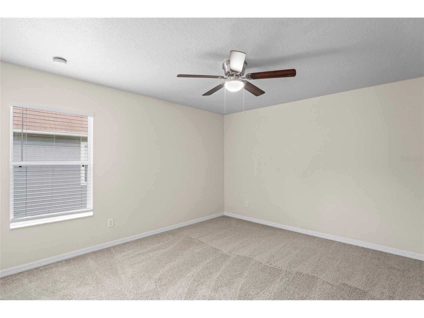 7249 Bridgeview Drive Wesley Chapel FL 33545 TB8388253 image17