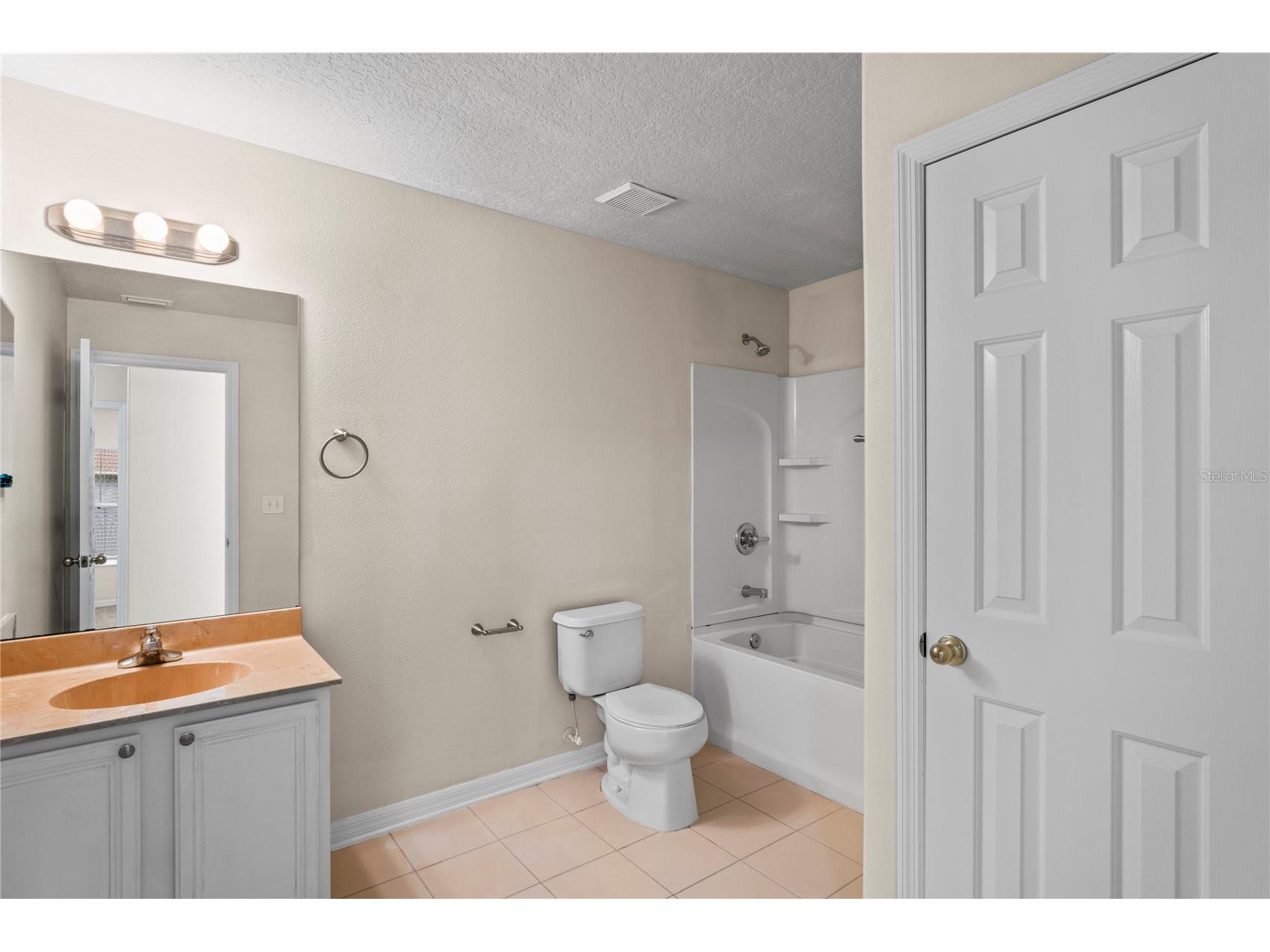 7249 Bridgeview Drive Wesley Chapel FL 33545 TB8388253 image18