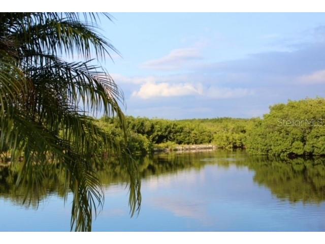 7249 Mount Piney Road NE #711 Saint Petersburg FL 33702 U8186682 image1