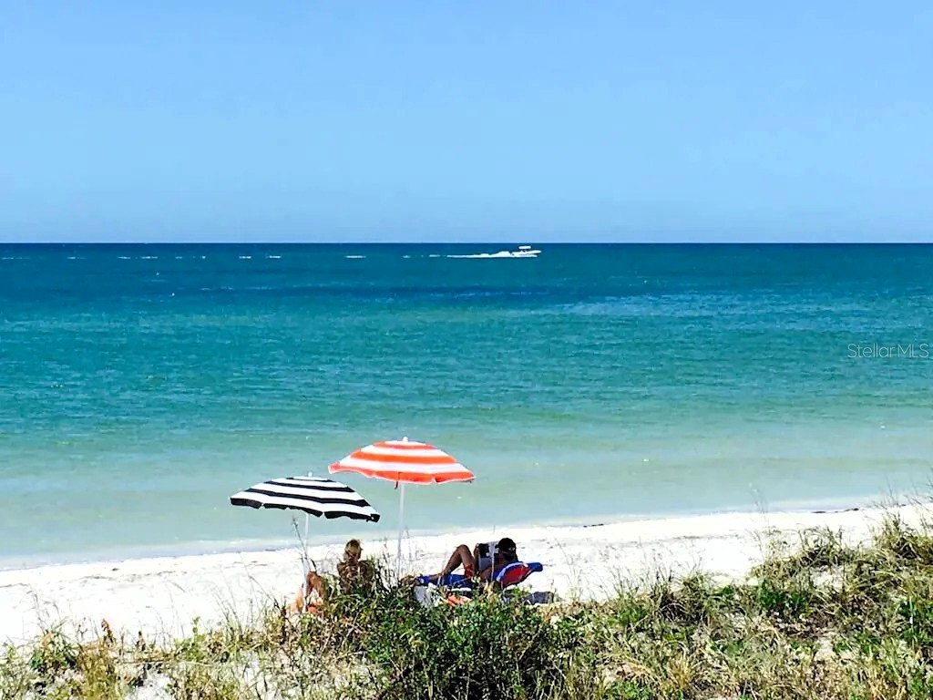 725 1st Street Indian Rocks Beach FL 33785 TB8491553 image49