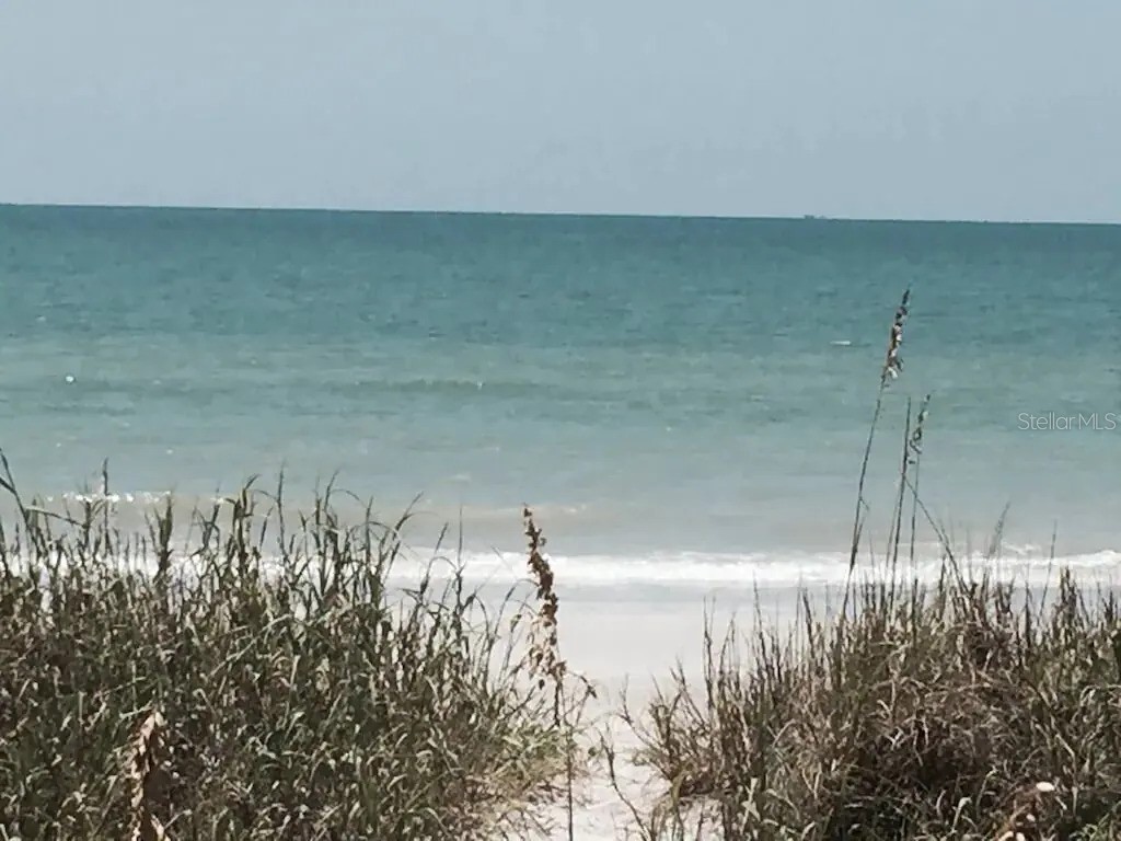 725 1st Street Indian Rocks Beach FL 33785 TB8491553 image55