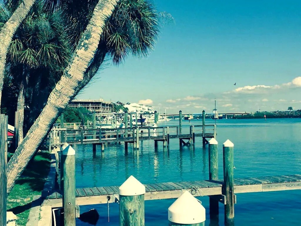 725 1st Street Indian Rocks Beach FL 33785 TB8491553 image56