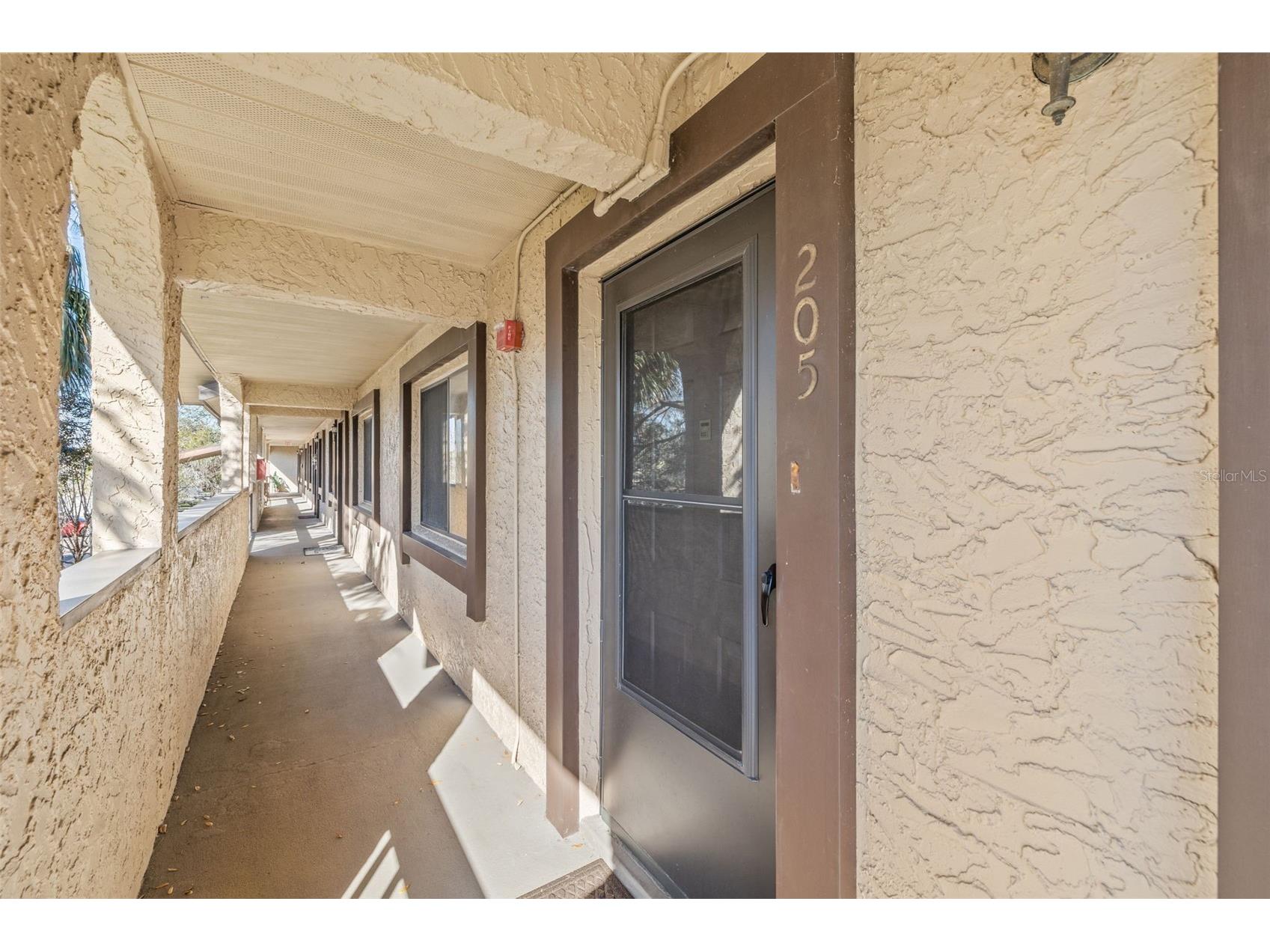725 83rd Avenue N #205 Saint Petersburg FL 33702 TB8453323 image1