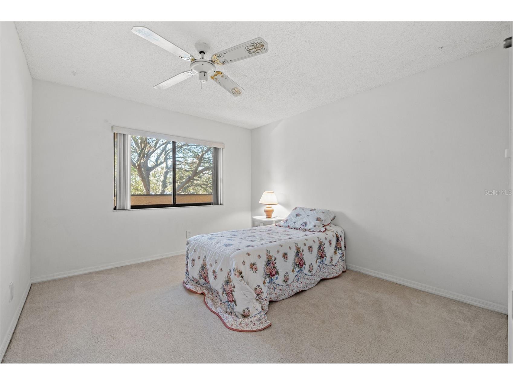 725 83rd Avenue N #205 Saint Petersburg FL 33702 TB8453323 image12