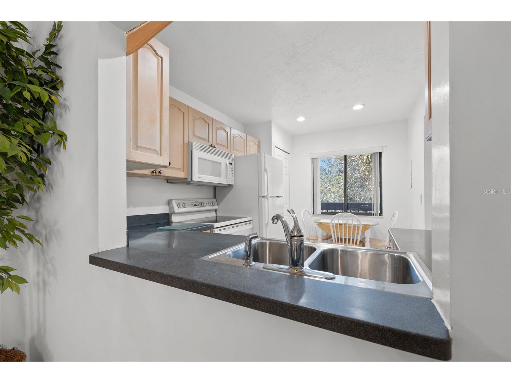 725 83rd Avenue N #205 Saint Petersburg FL 33702 TB8453323 image5