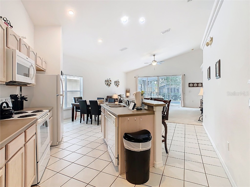 725 Andalusia Loop Davenport FL 33837 S5135760 image9