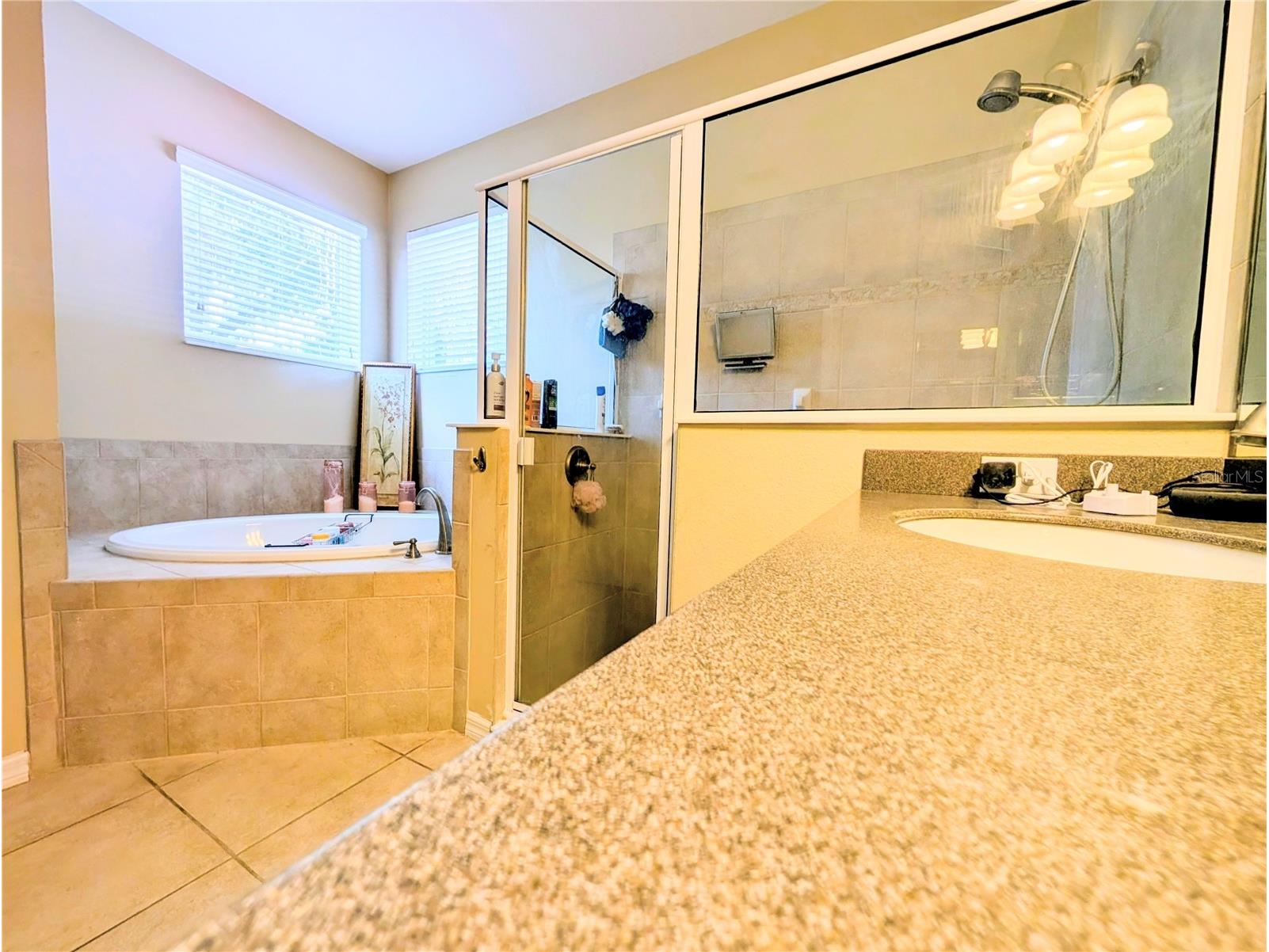 725 Auburn Preserve Boulevard Auburndale FL 33823 P4938200 image19